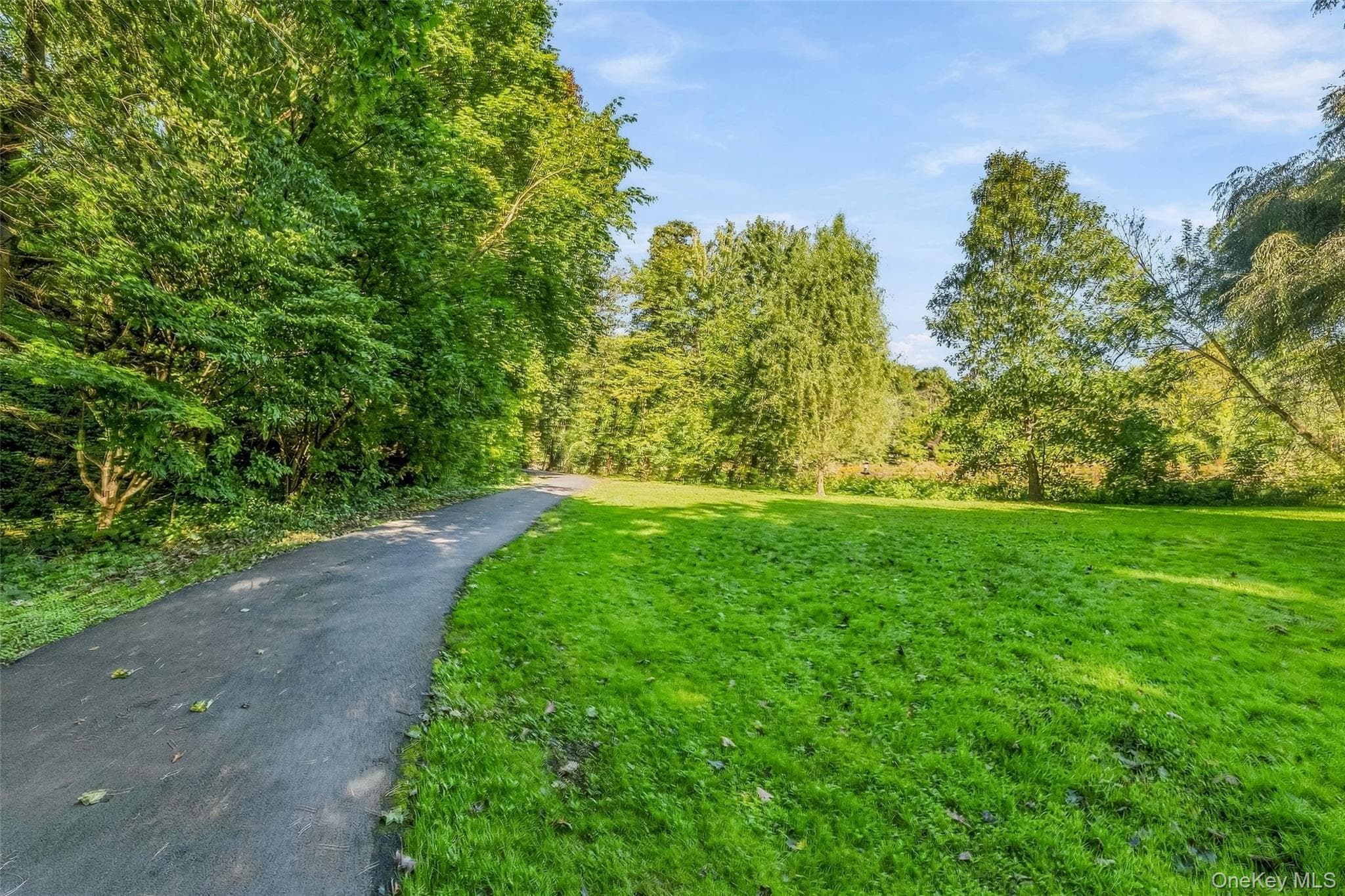 72 Pondfield Road Unit: 4C thumbnail 29