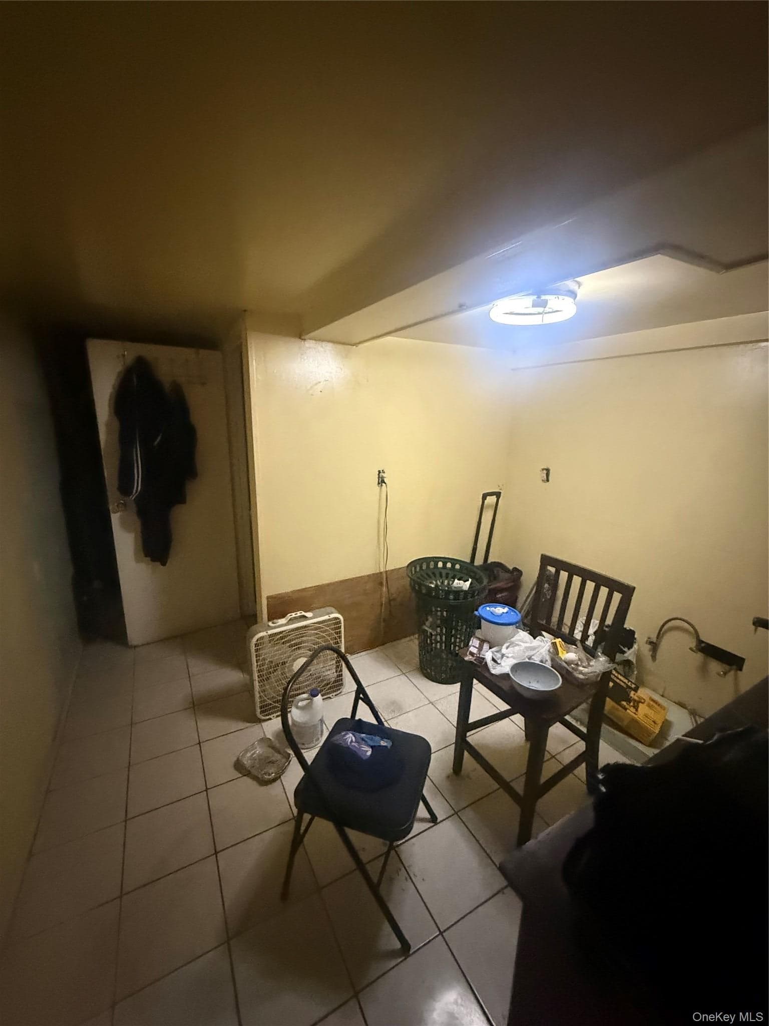 925 E 227th Street thumbnail 17
