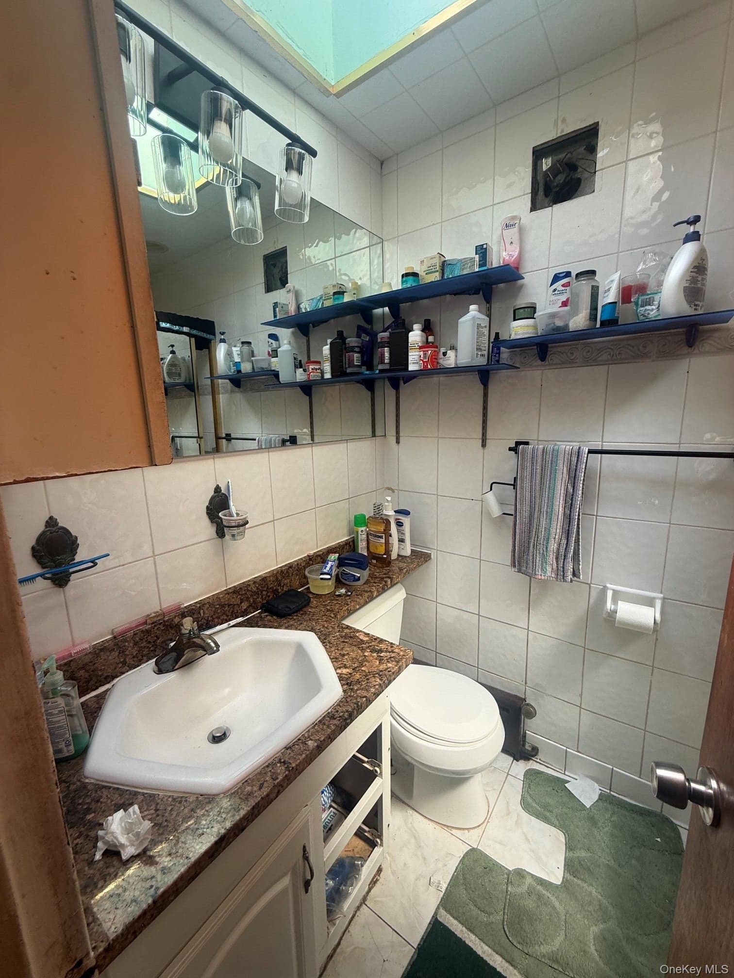 925 E 227th Street thumbnail 11