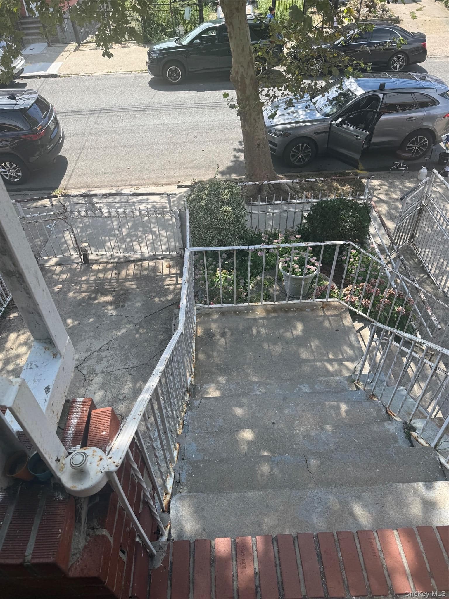 925 E 227th Street thumbnail 3