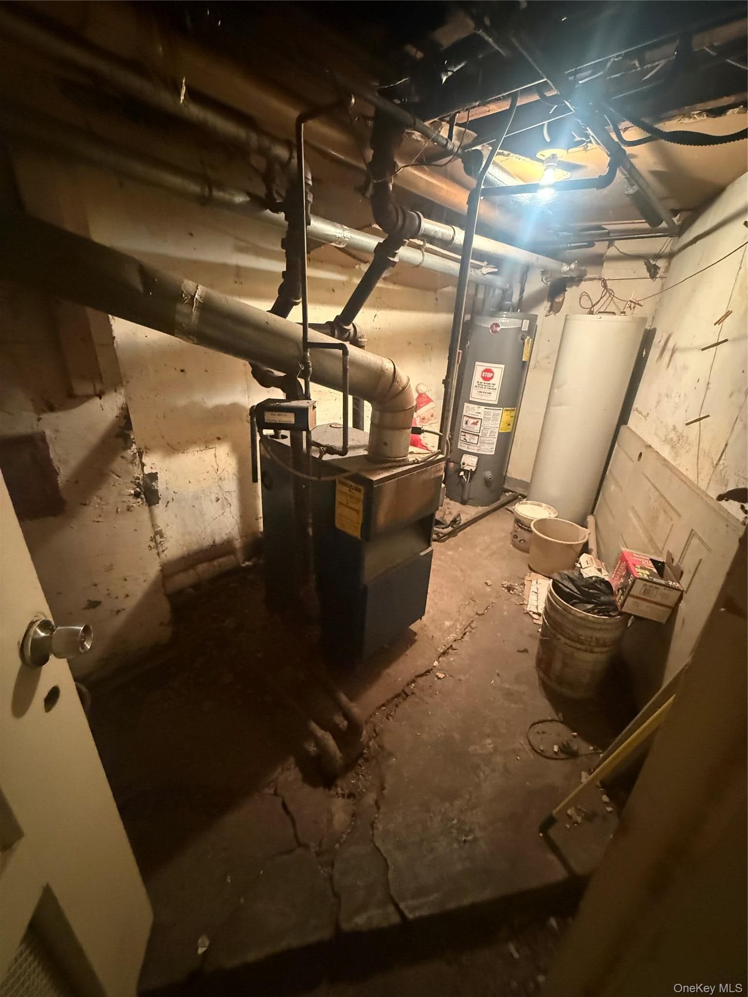 925 E 227th Street thumbnail 18