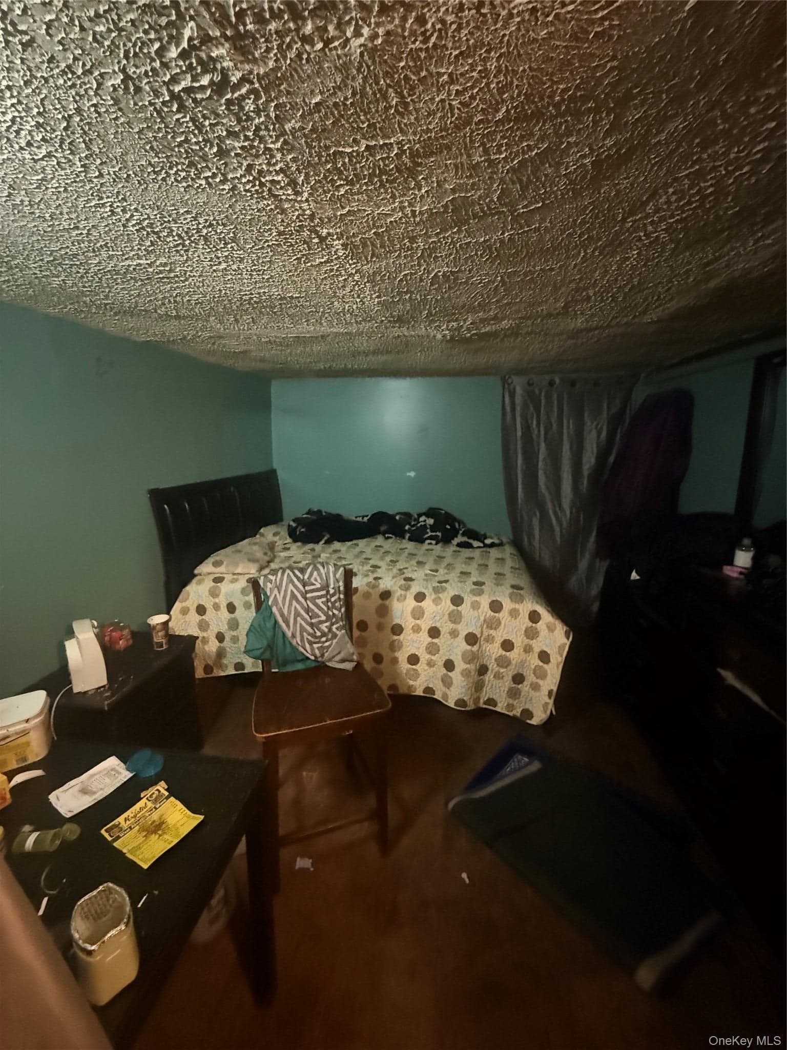925 E 227th Street thumbnail 15