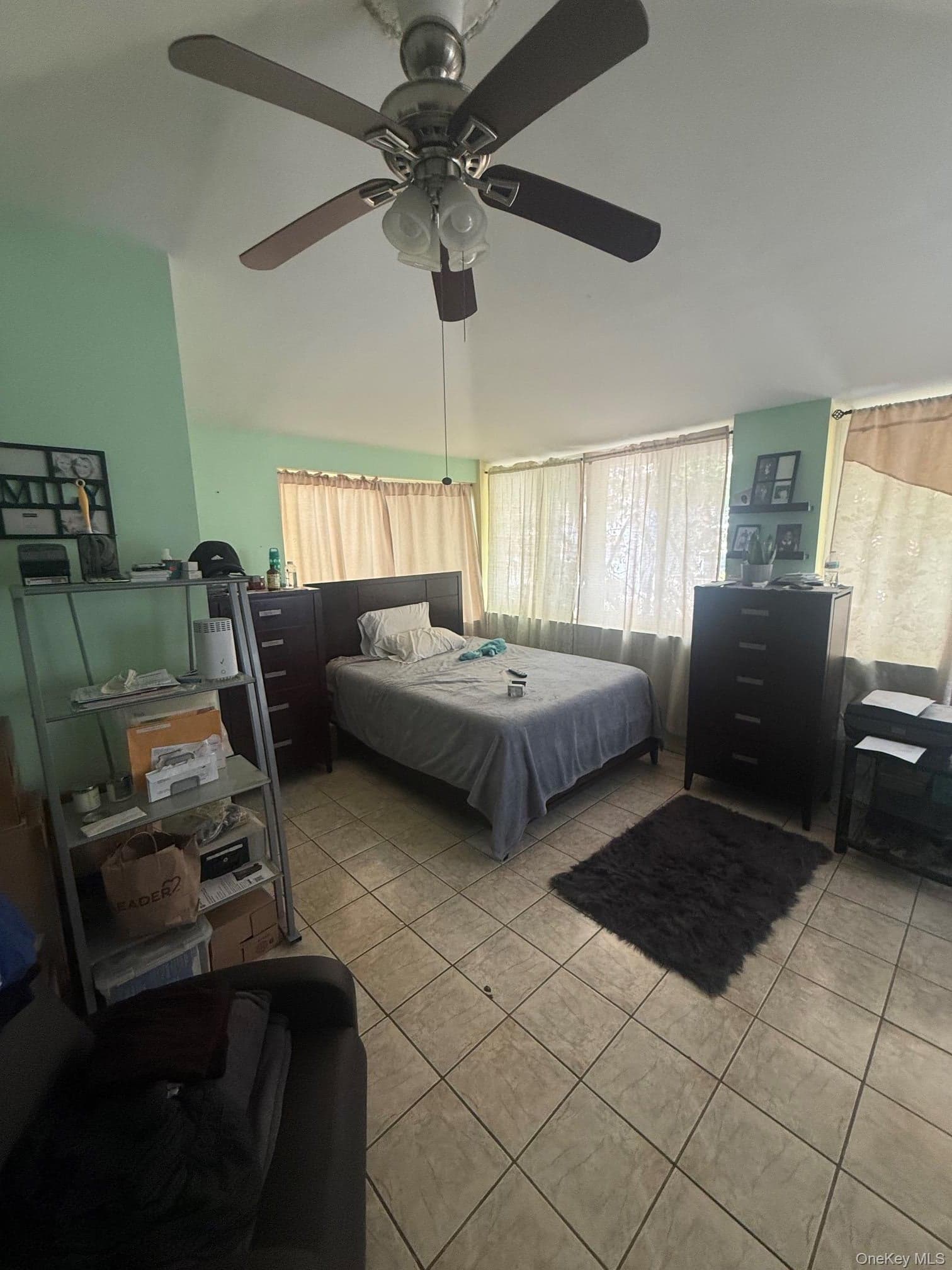 925 E 227th Street thumbnail 6
