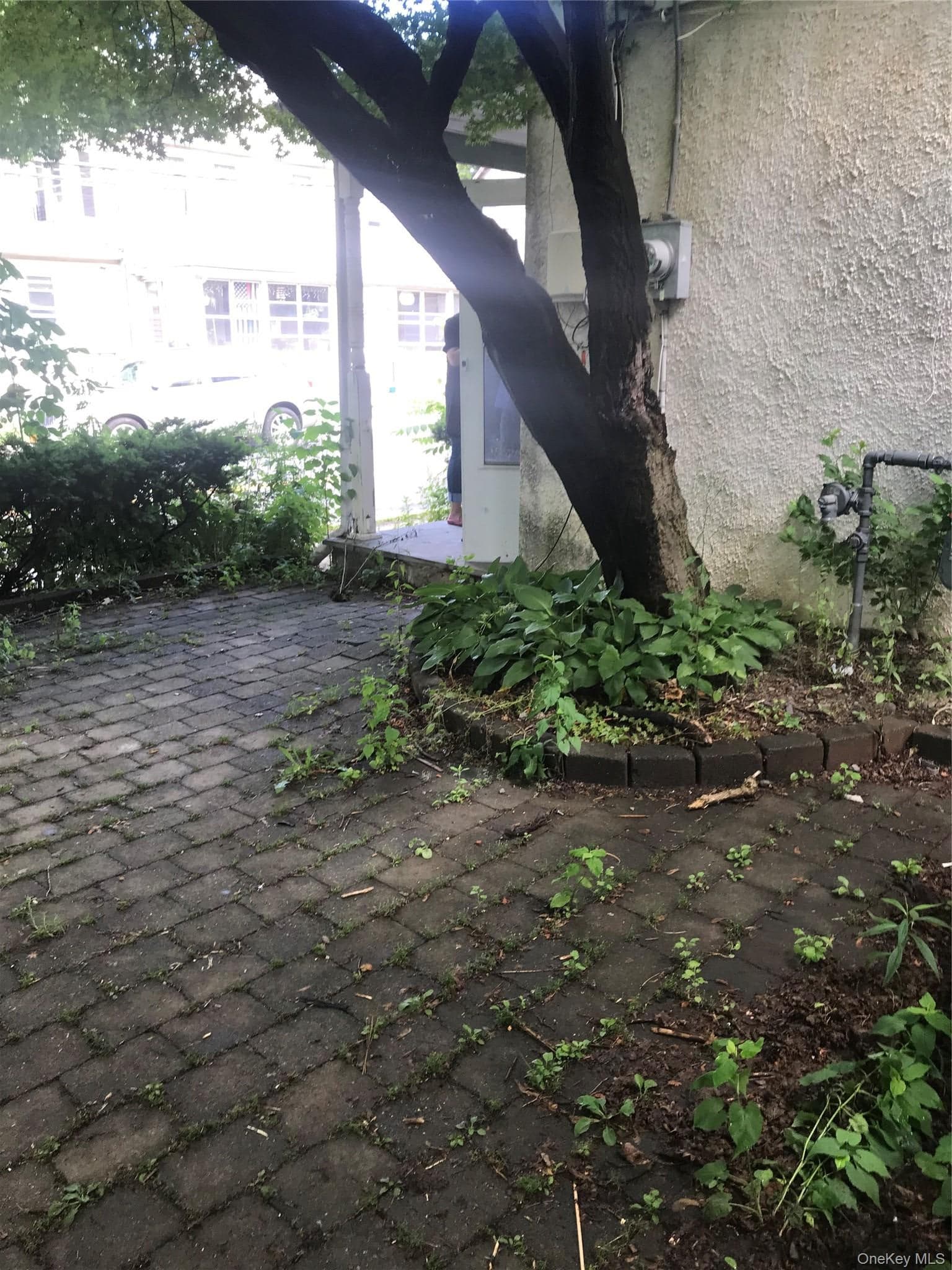 6 Snowden Avenue Unit: 4 thumbnail 4