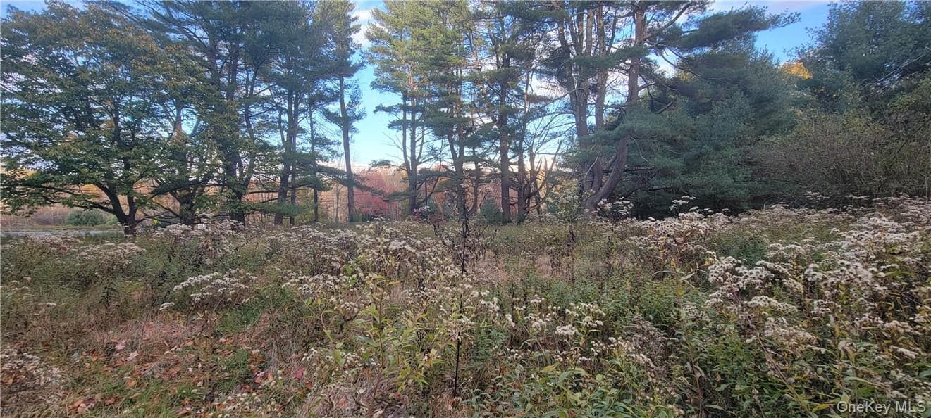 1195 Nys Route 17b thumbnail 10