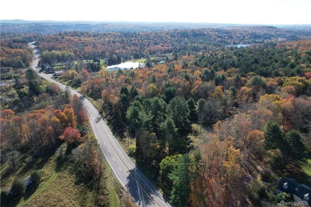 1195 Nys Route 17b, Mongaup Valley