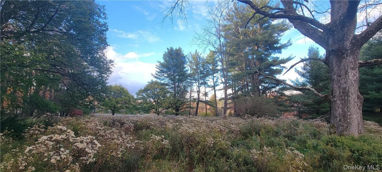 1195 Nys Route 17b thumbnail 12