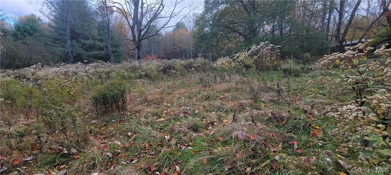 1195 Nys Route 17b thumbnail 15