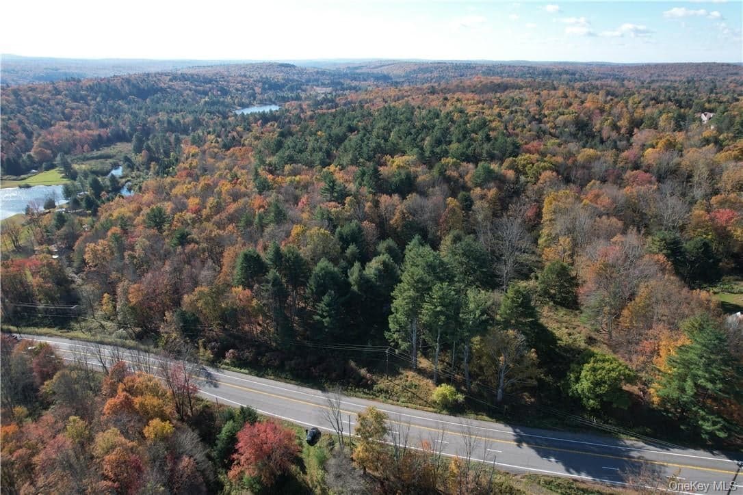 1195 Nys Route 17b thumbnail 23