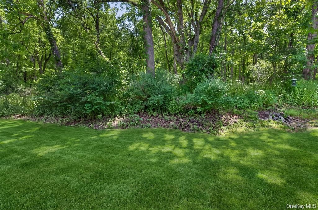 607 Mountain Laurel Drive thumbnail 35