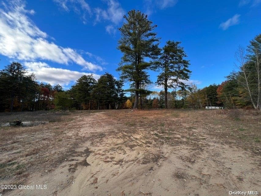 15 Pasco Avenue thumbnail 43