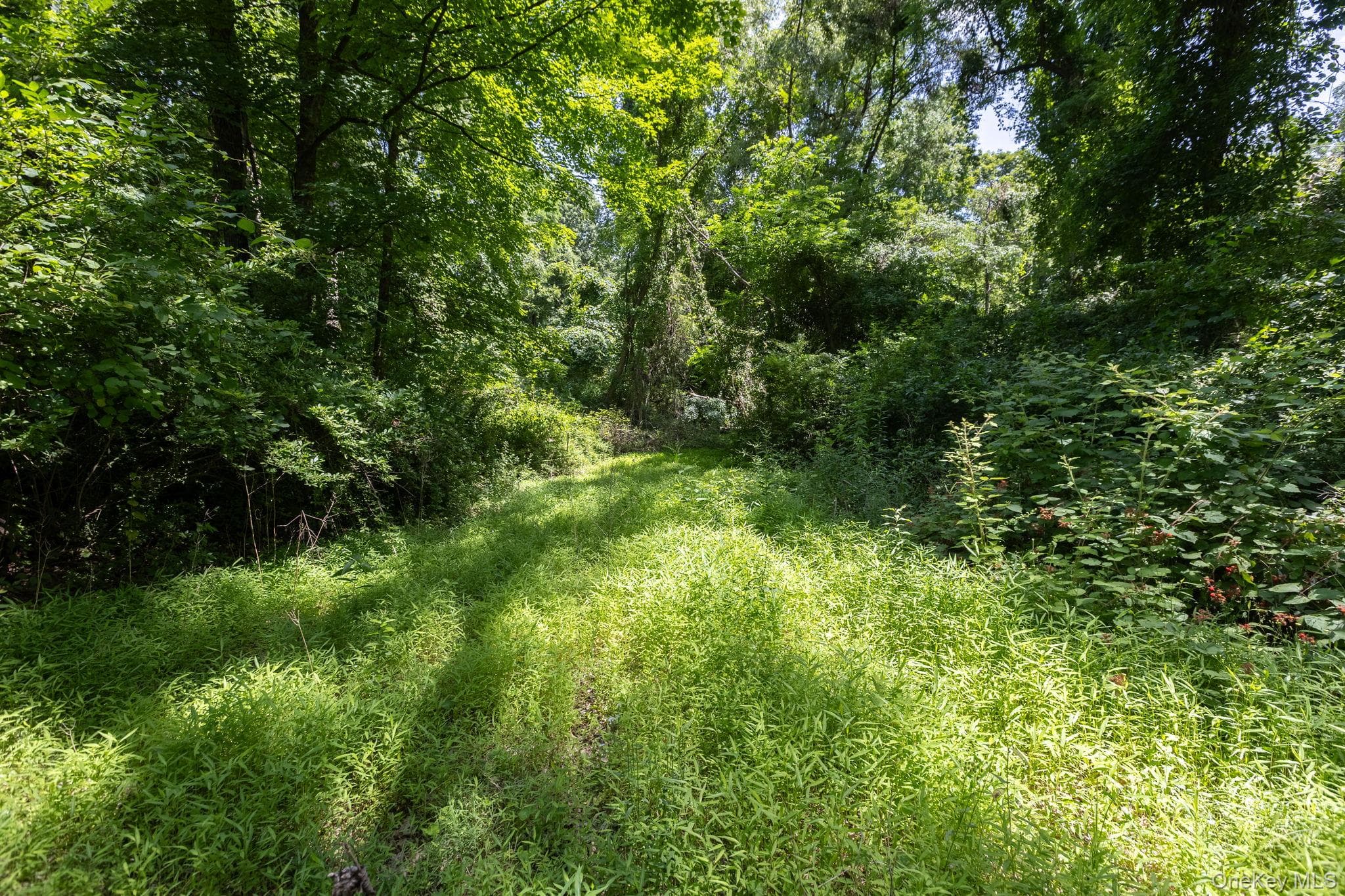Woodin Lane thumbnail 5