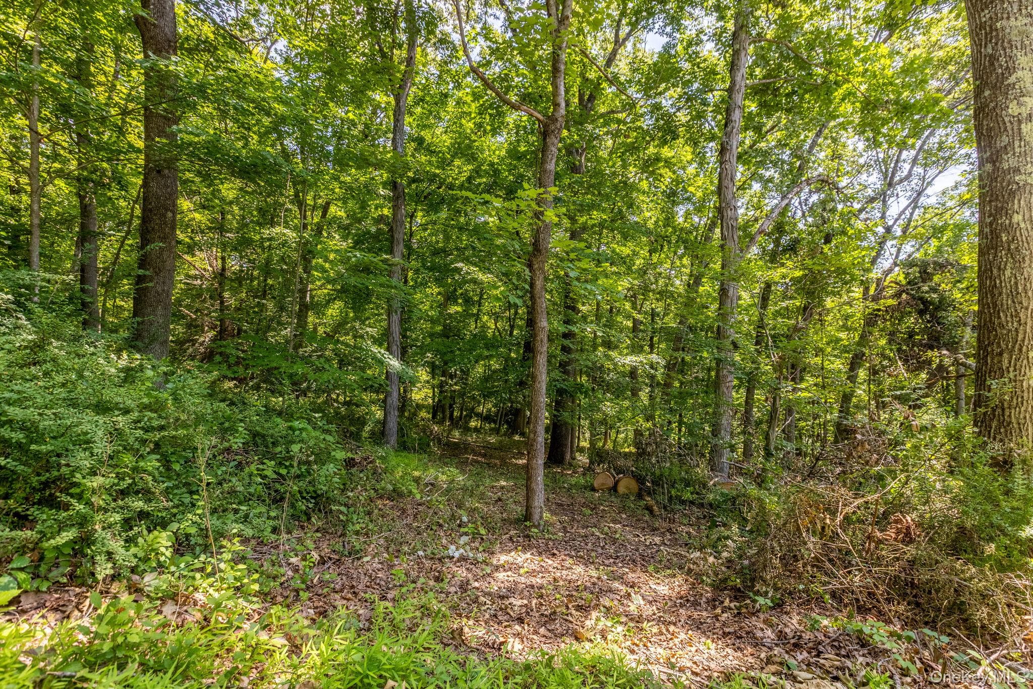 Woodin Lane, Pawling