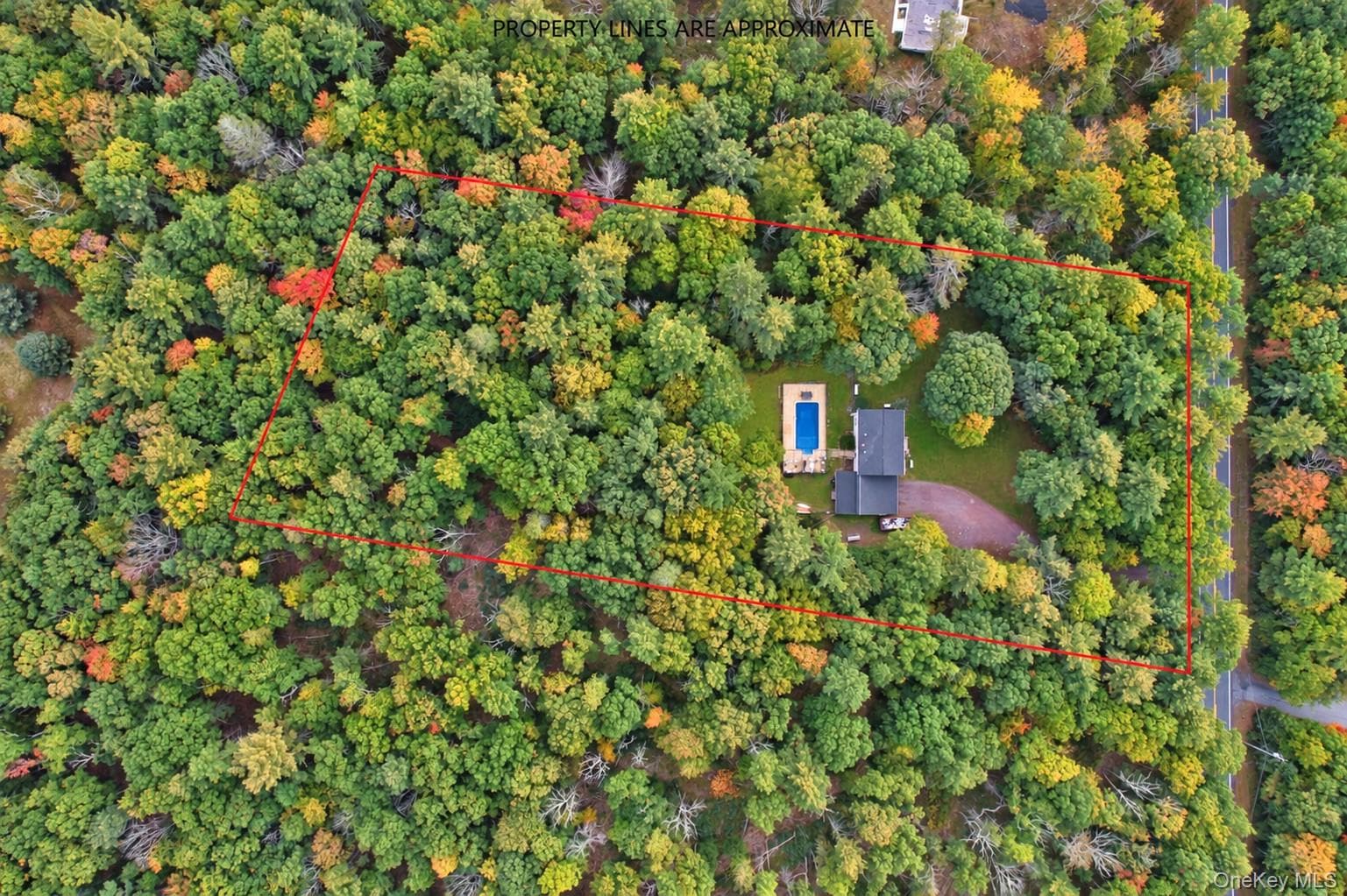 1431 Forestburgh Road thumbnail 34