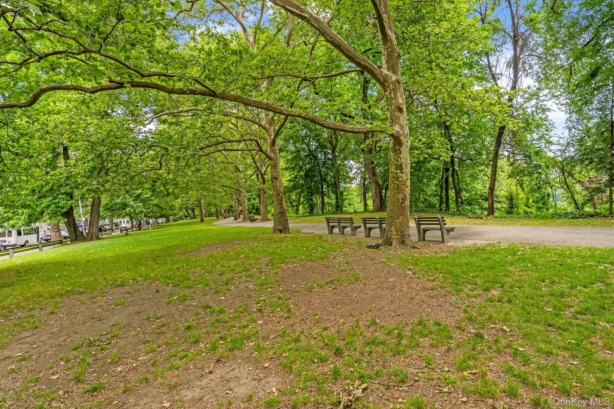509 W 183rd Street thumbnail 6