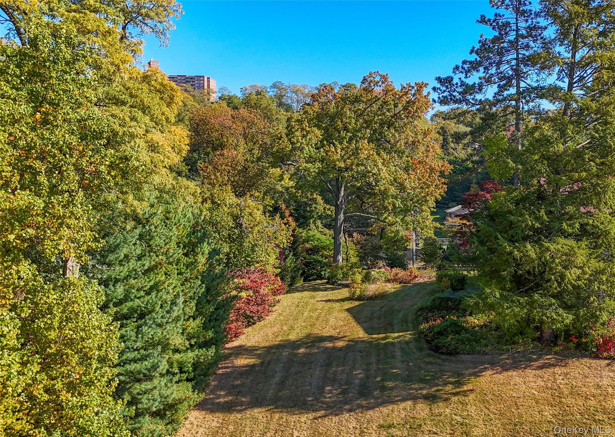 5505 Palisade Avenue thumbnail 15
