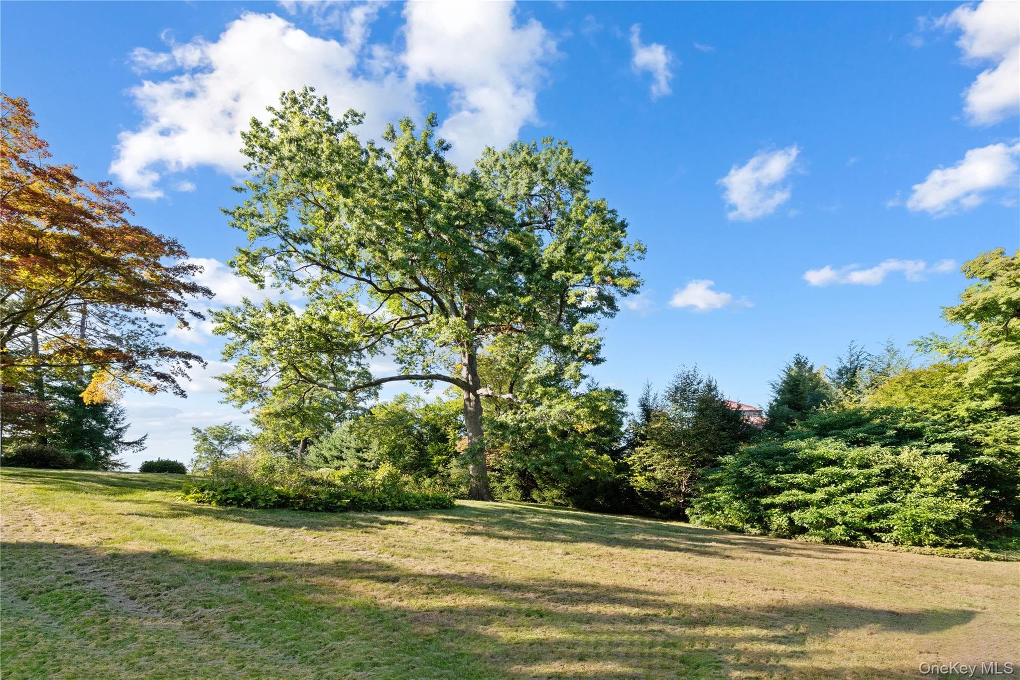 5505 Palisade Avenue thumbnail 16