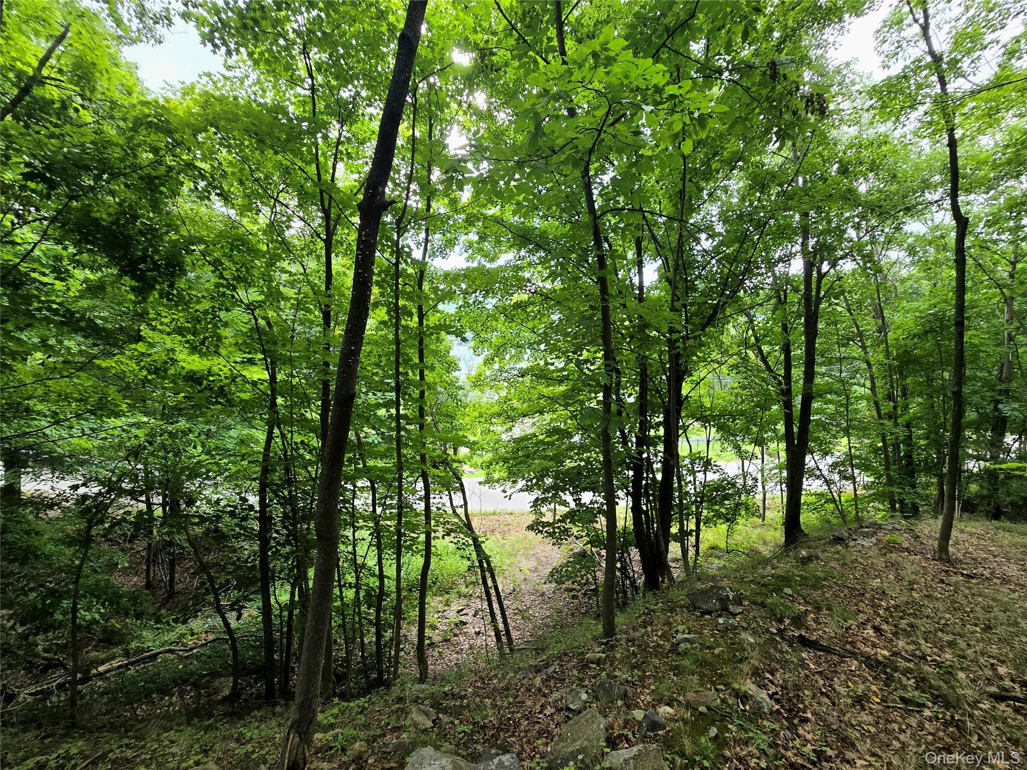 Edgemere Avenue thumbnail 2