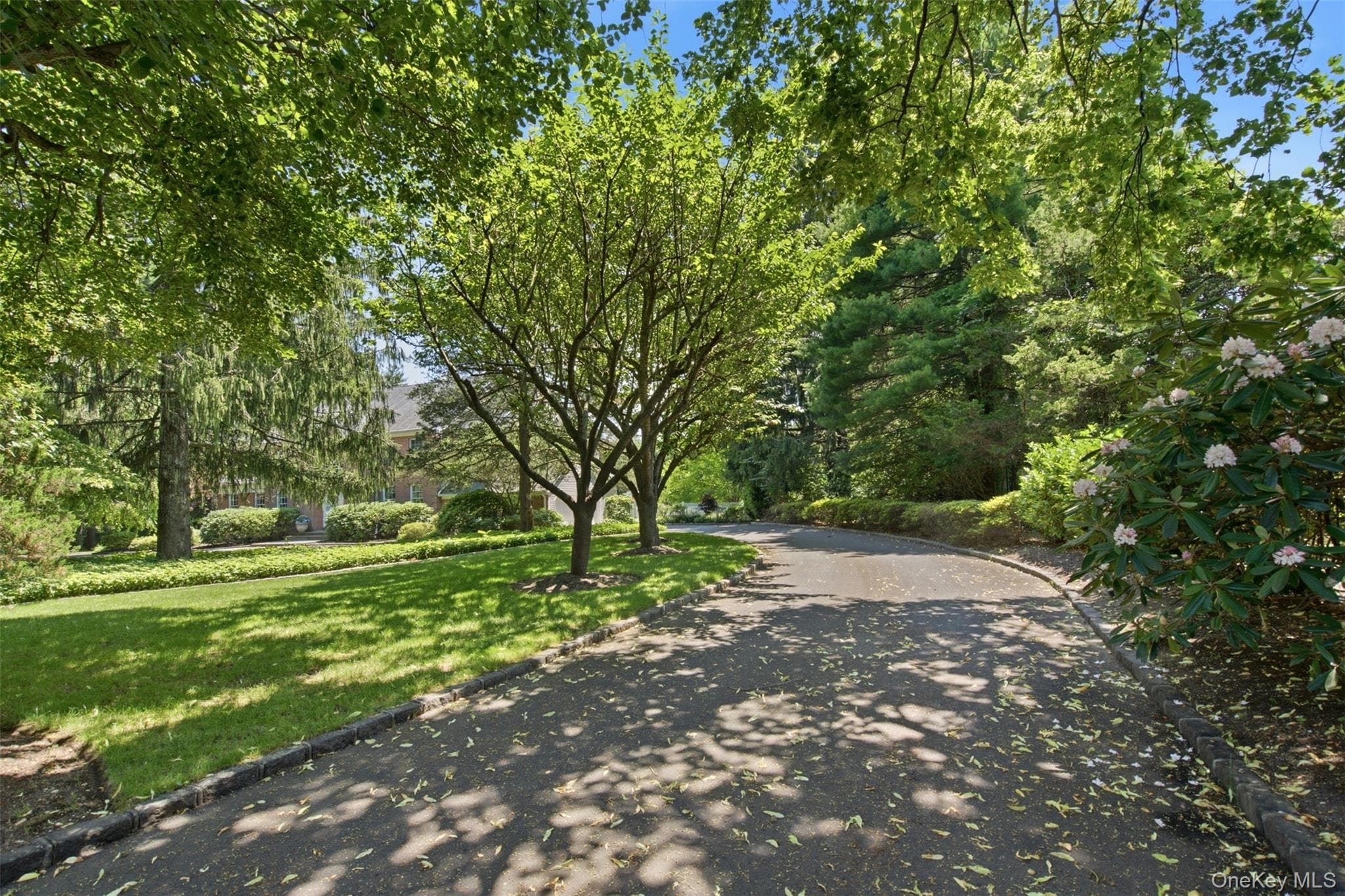 61 Linden Lane thumbnail 2
