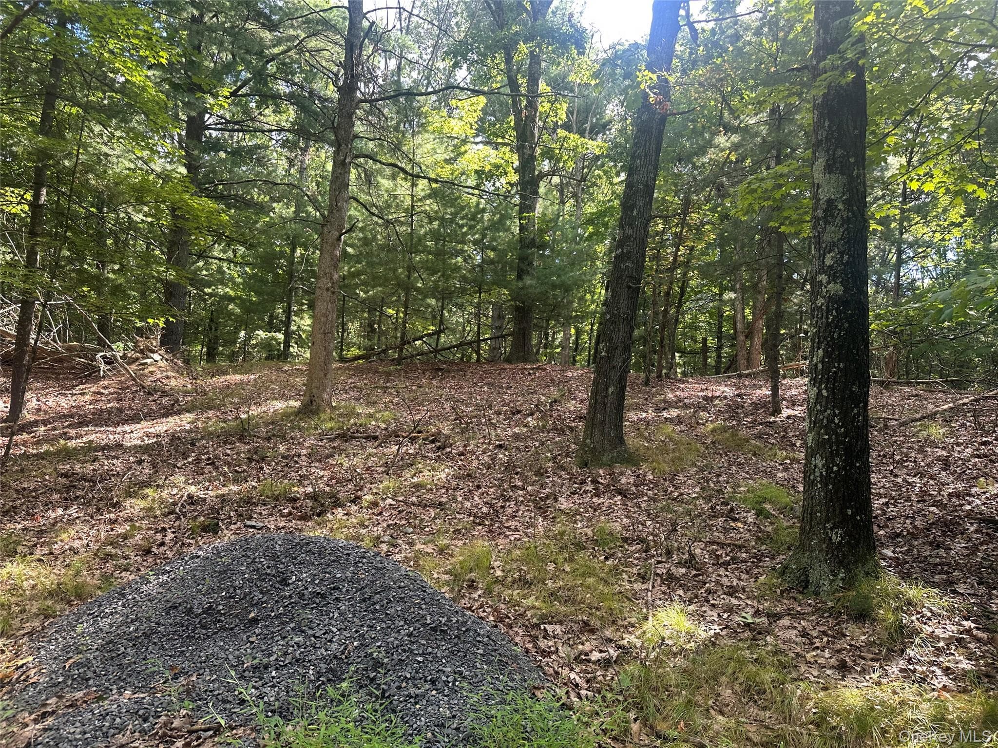 Cedar Drive thumbnail 5