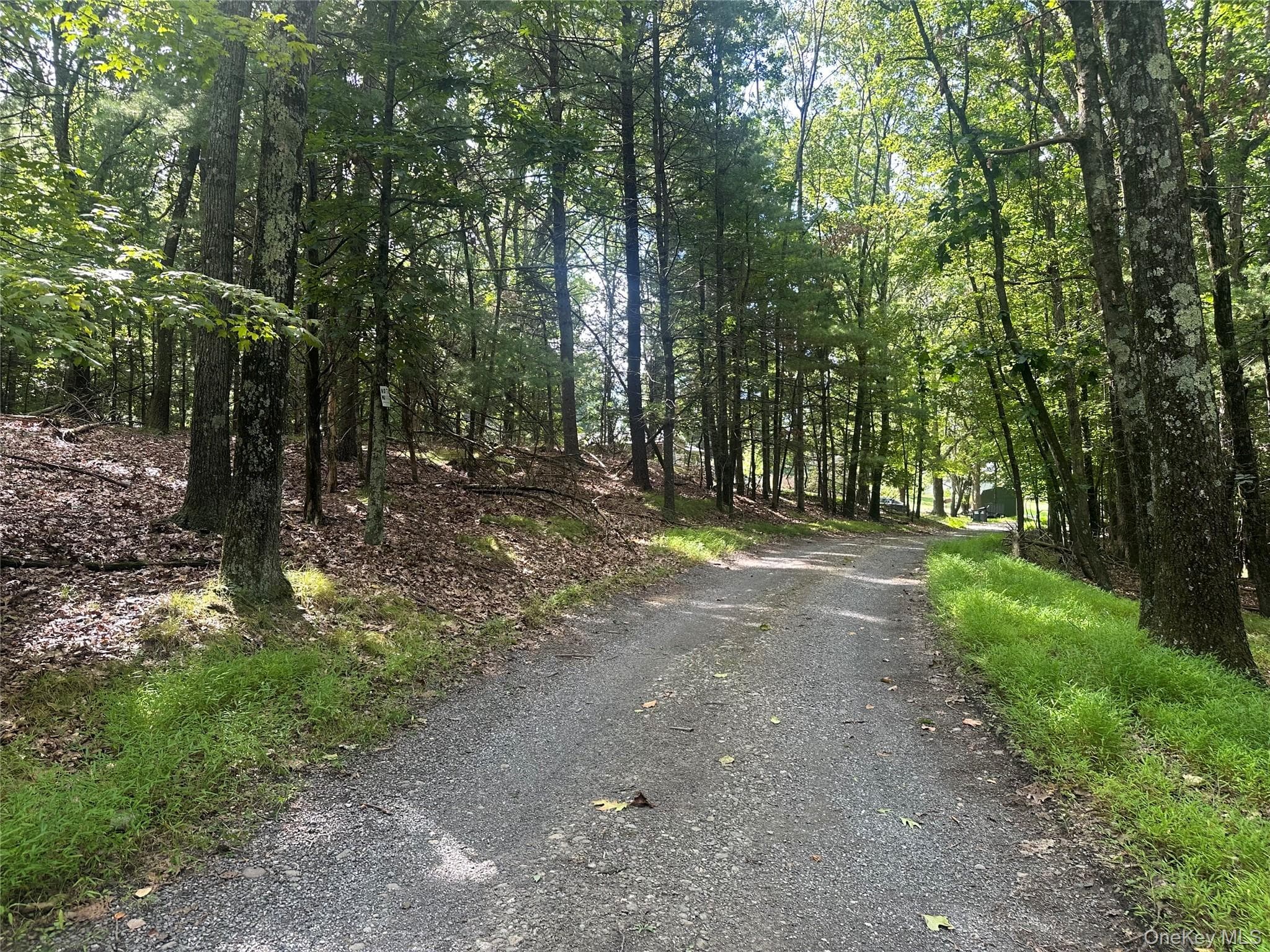 Cedar Drive, Elizaville
