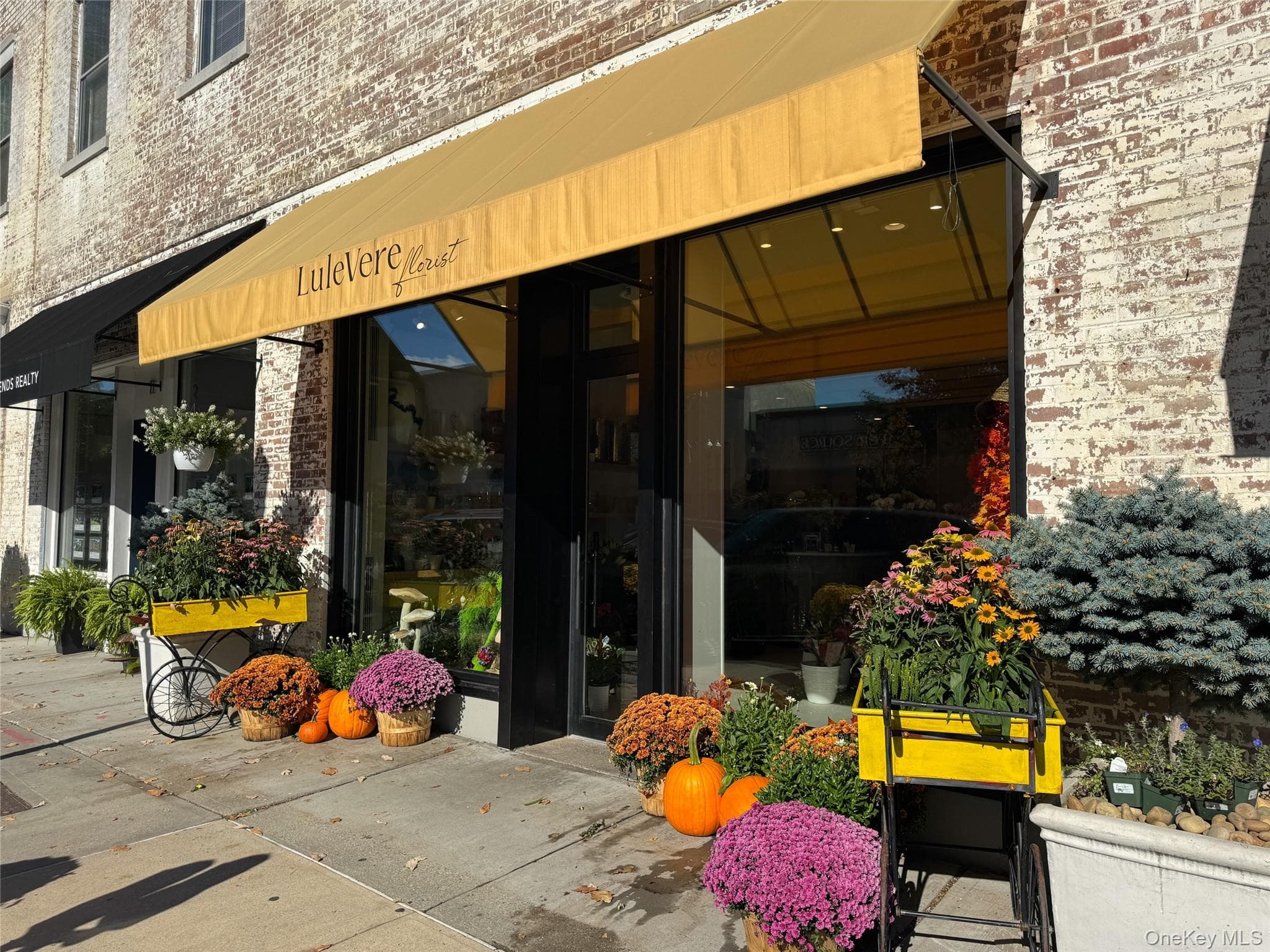 2 Bronxville Road Unit: 6P thumbnail 23