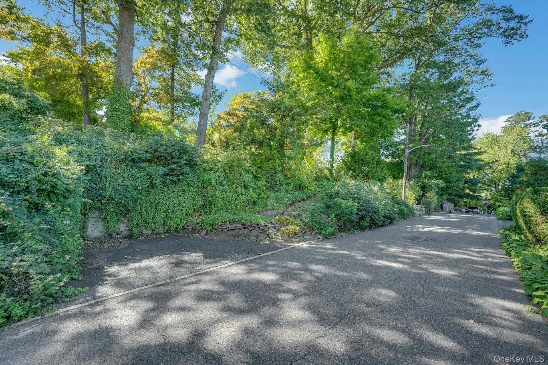 52 Fisher Avenue thumbnail 40