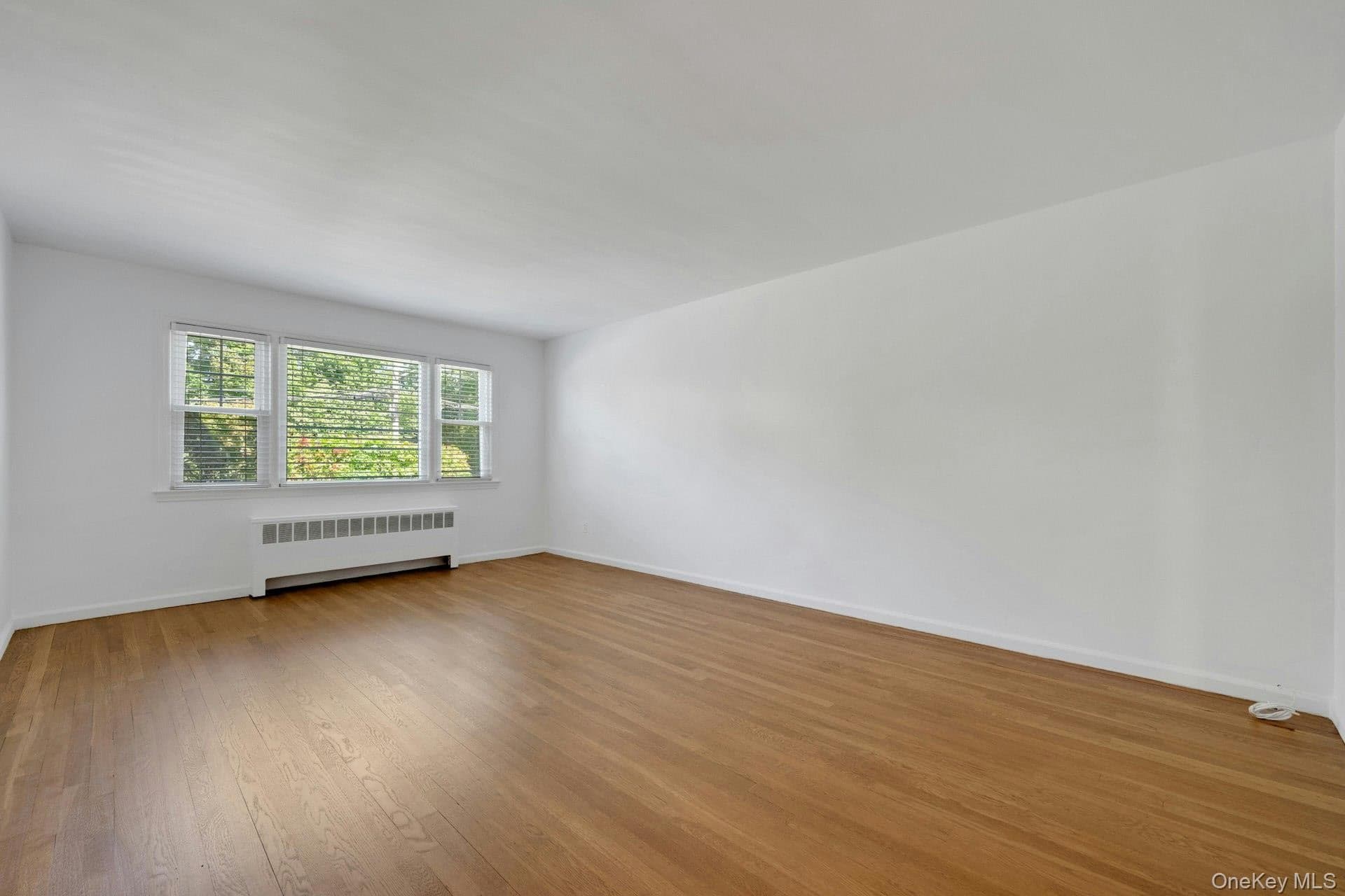 52 Fisher Avenue thumbnail 5