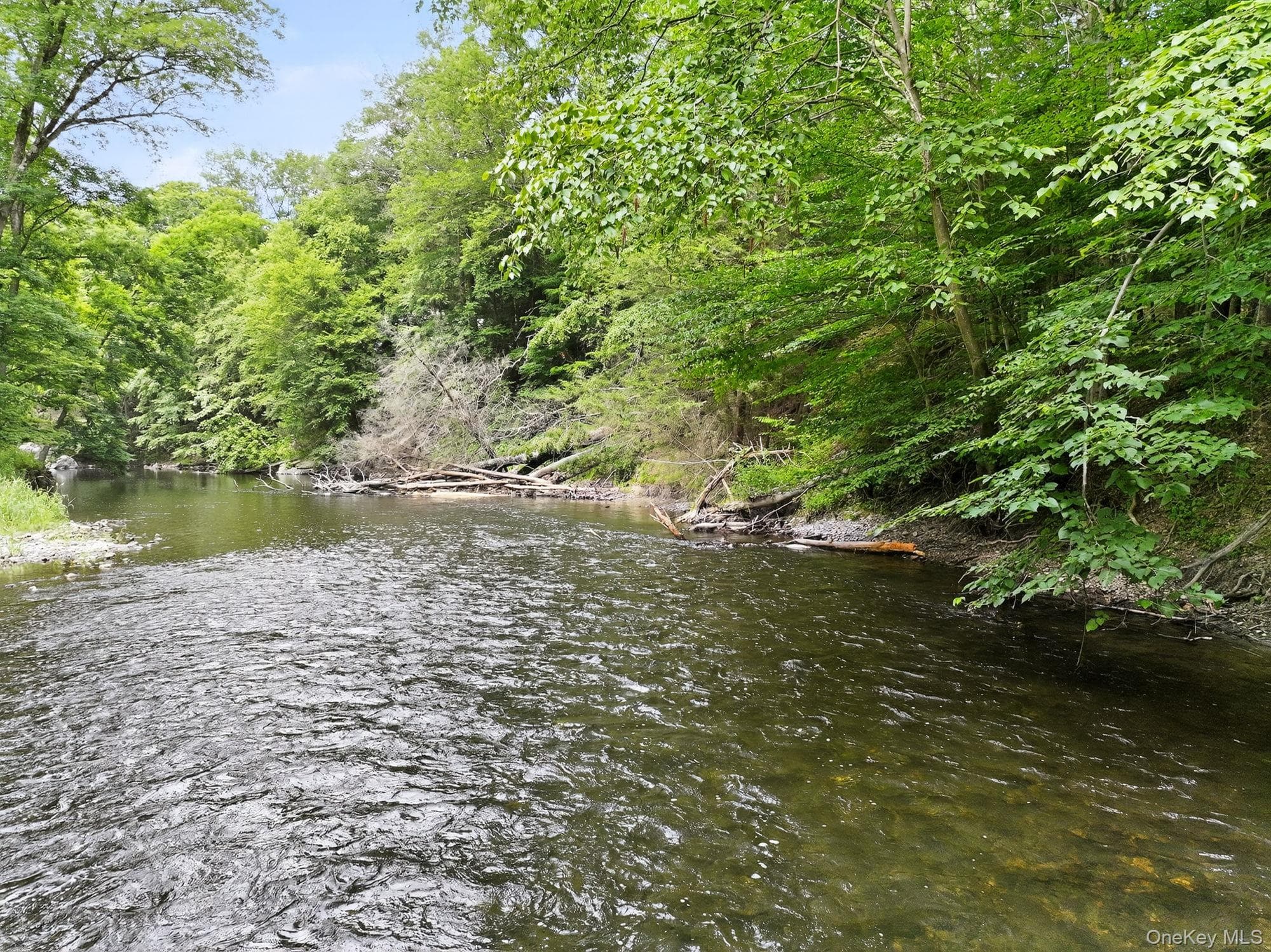 1202 Jackson Corners Road thumbnail 23