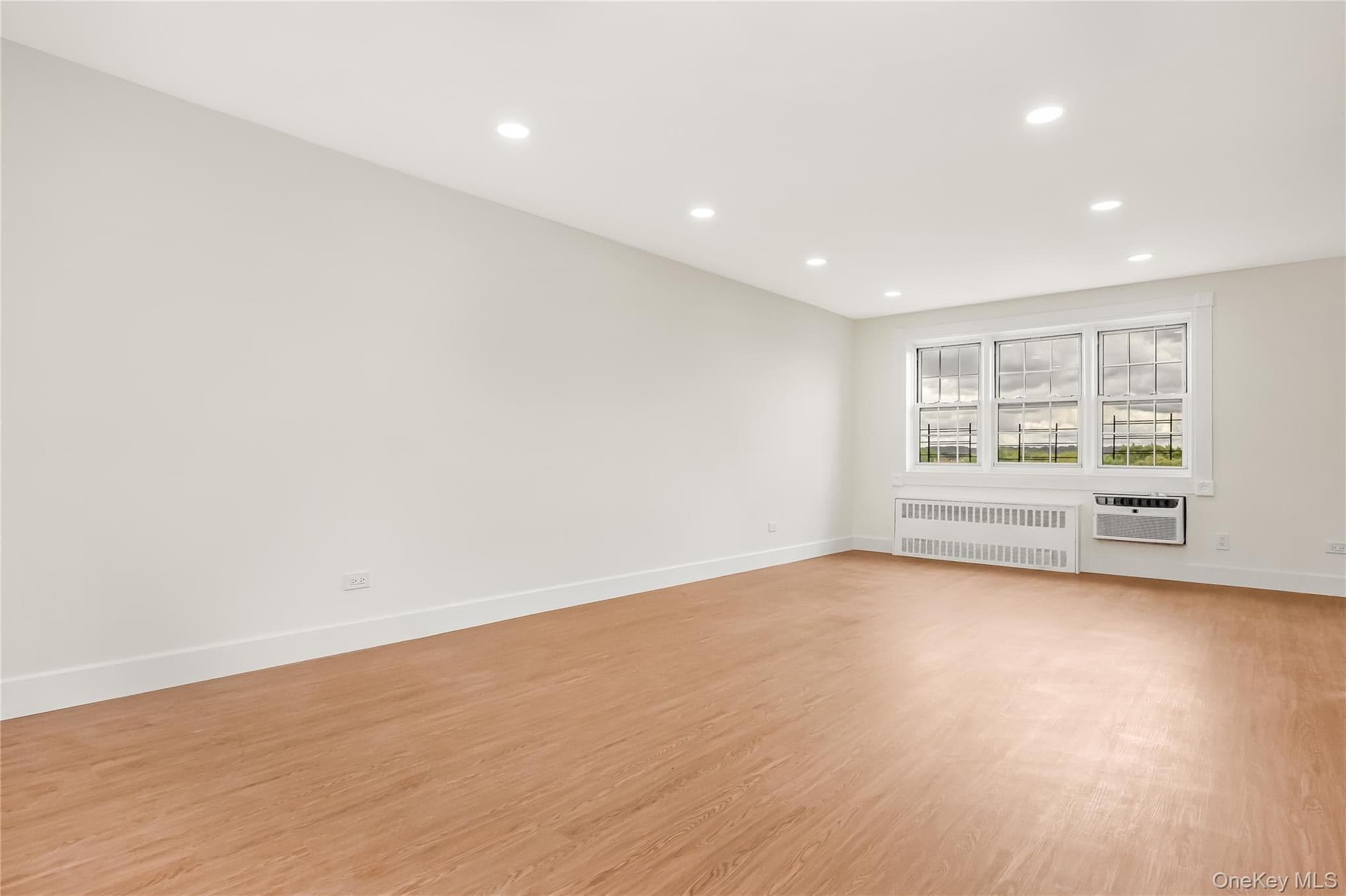 87-10 149th Avenue Unit: 5N thumbnail 6