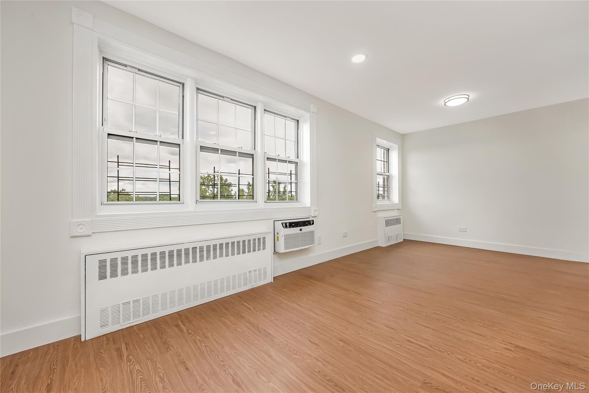 87-10 149th Avenue Unit: 5N thumbnail 8