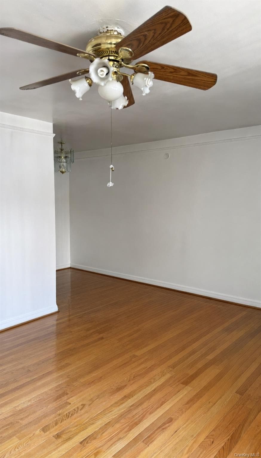214-07B Hillside Ave Ave Unit: Unit B thumbnail 3