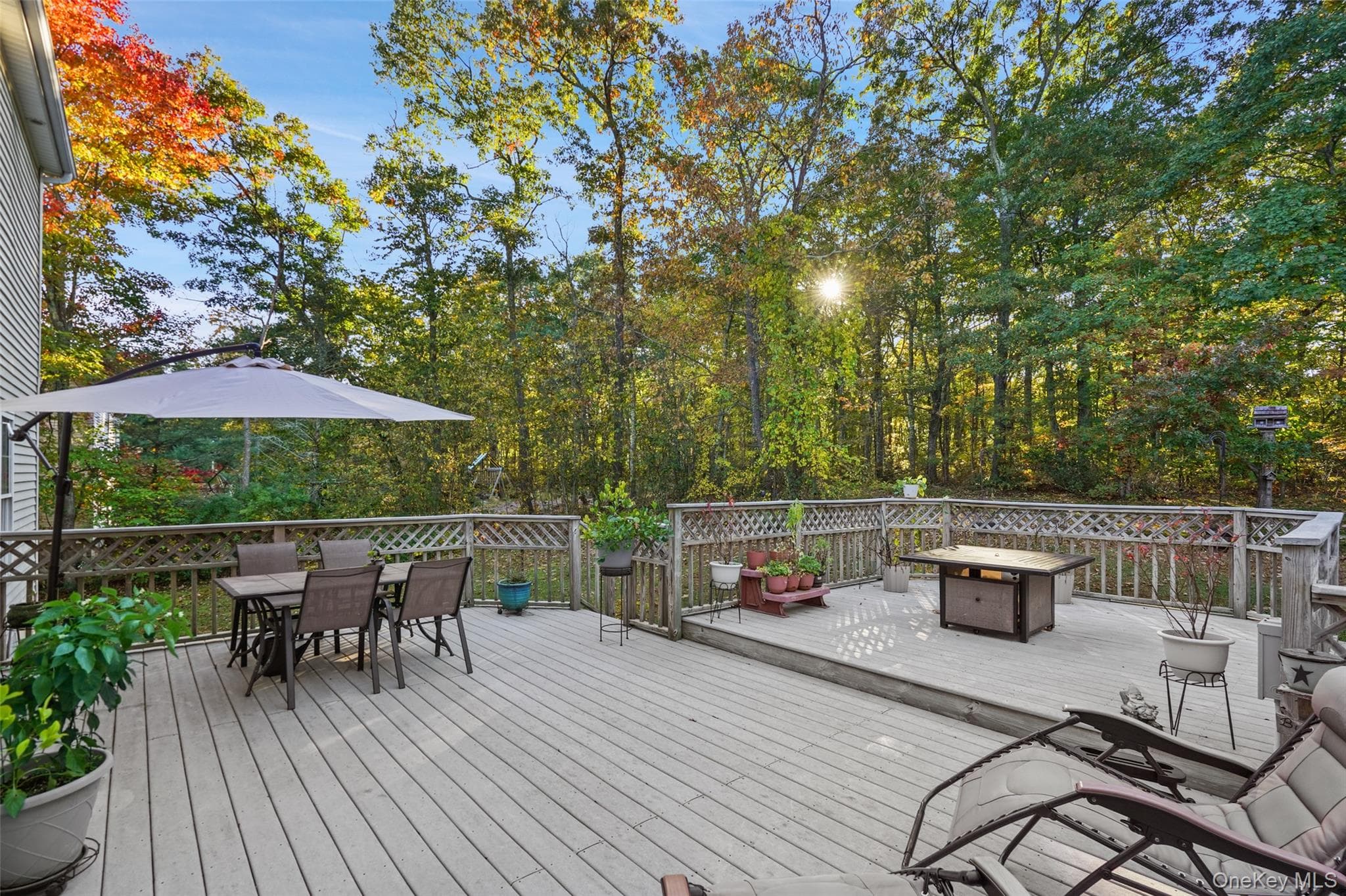 54 White Pond Road thumbnail 7
