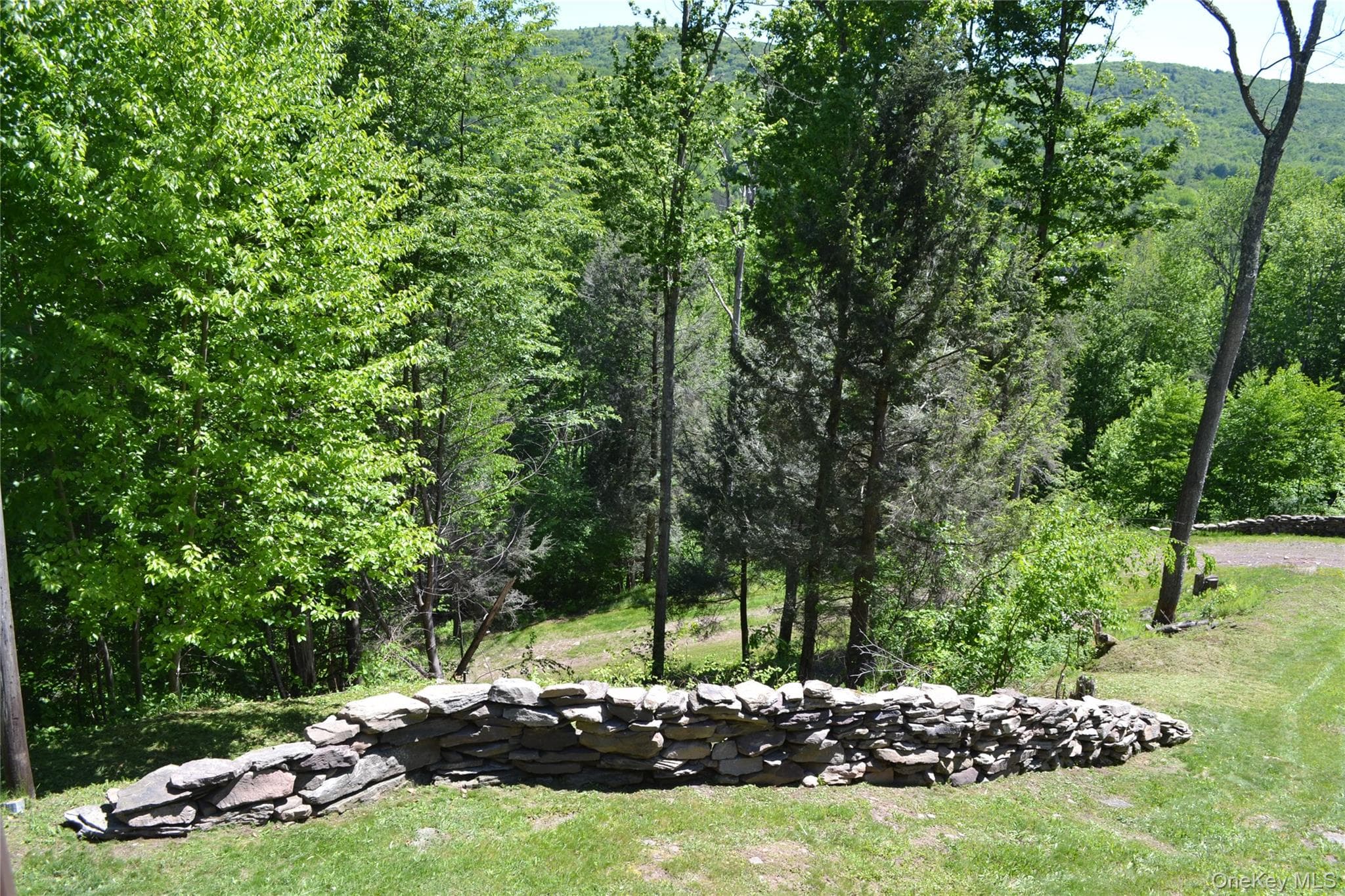 157 Wolfs Lair thumbnail 5