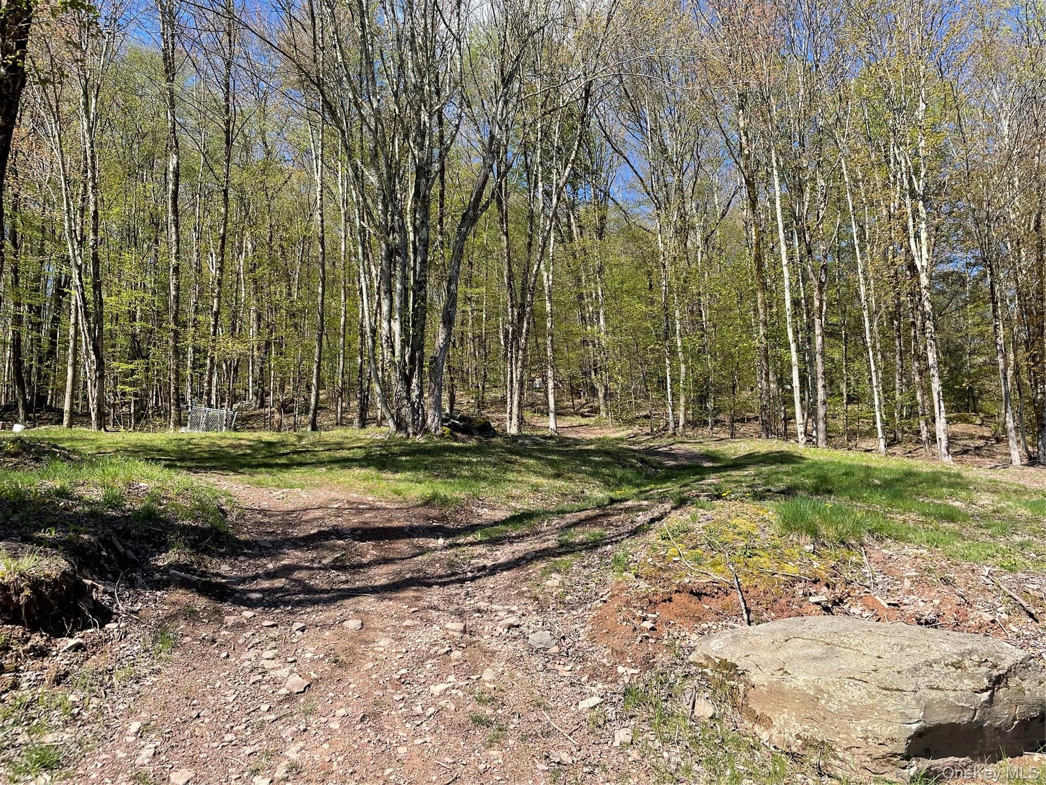 157 Wolfs Lair thumbnail 28