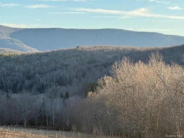 Hog Mountain thumbnail 6