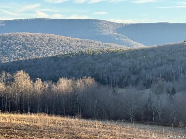 Hog Mountain thumbnail 4