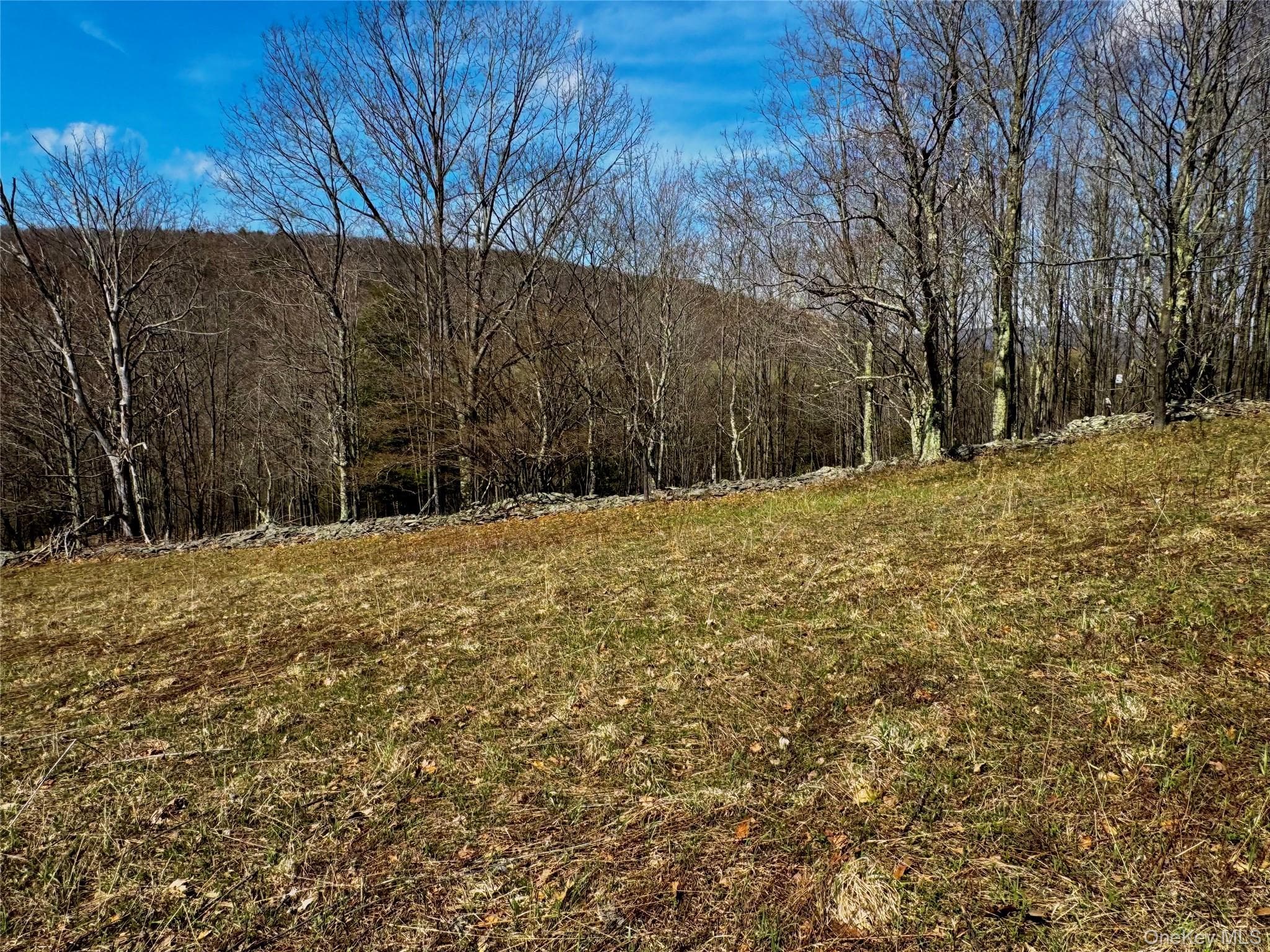 Hog Mountain thumbnail 14