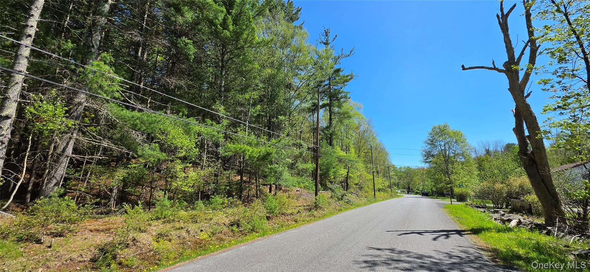 Hamilton Road thumbnail 4