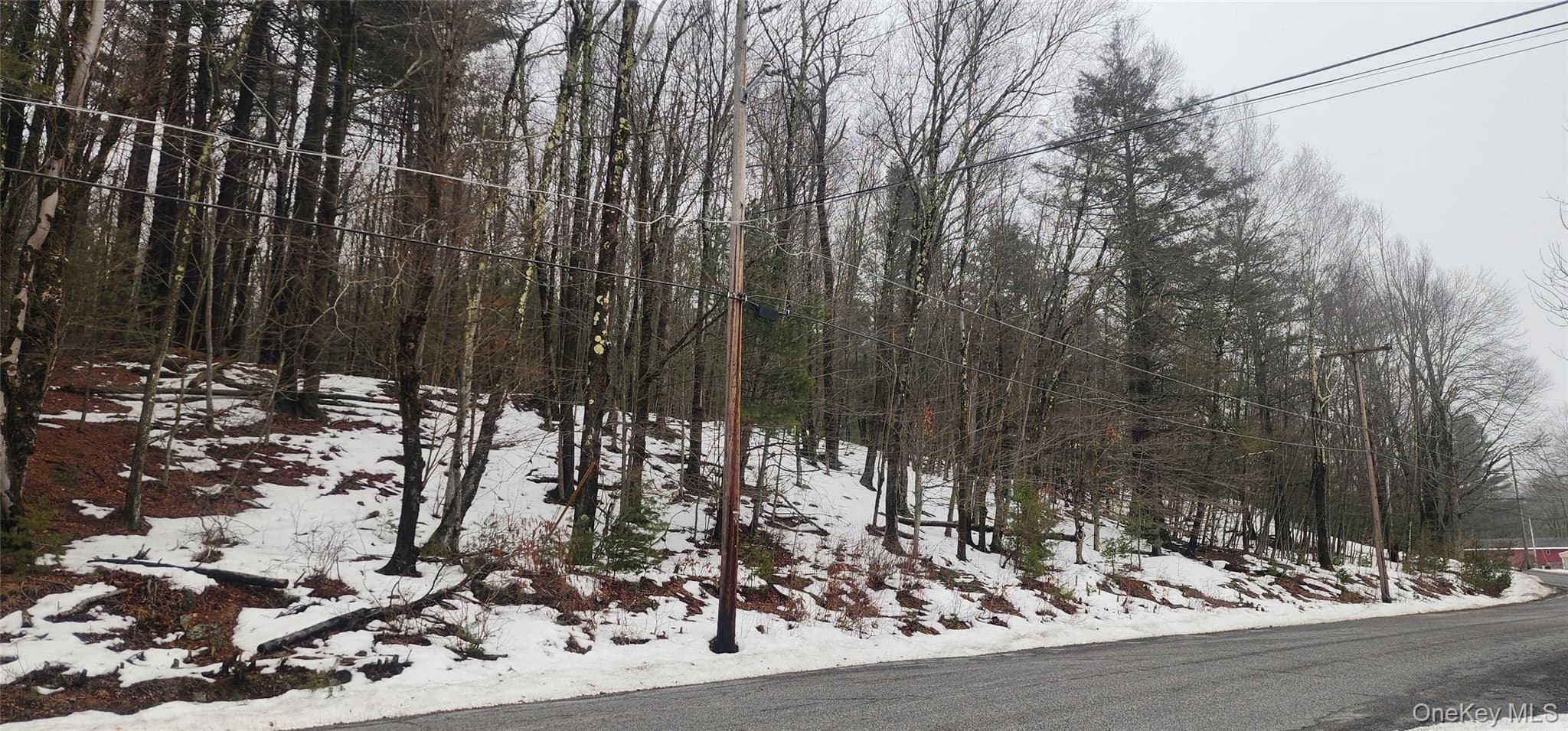 Hamilton Road thumbnail 9