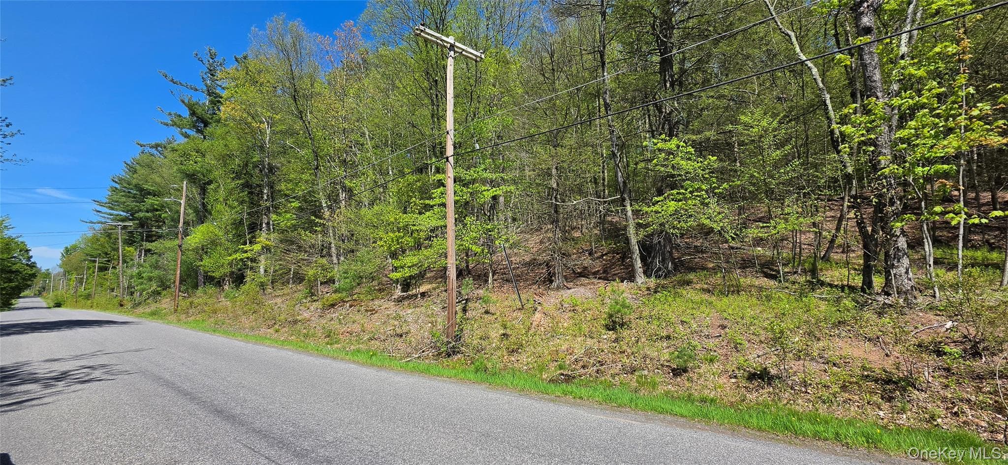 Hamilton Road, Monticello