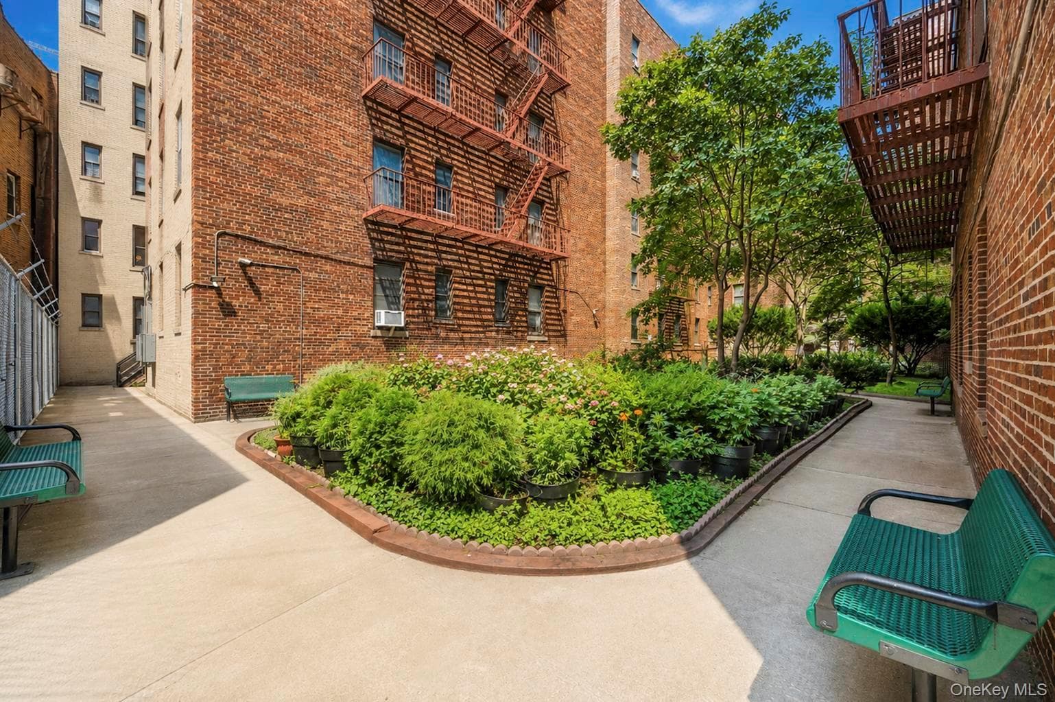 2925 Matthews Avenue Unit: 2H thumbnail 3