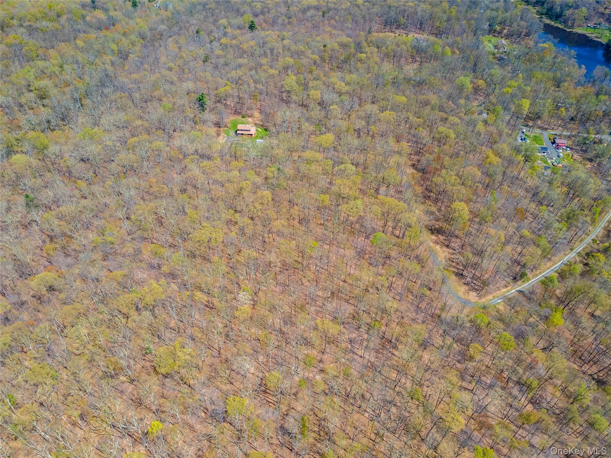 TBD Forest Glen Road thumbnail 7