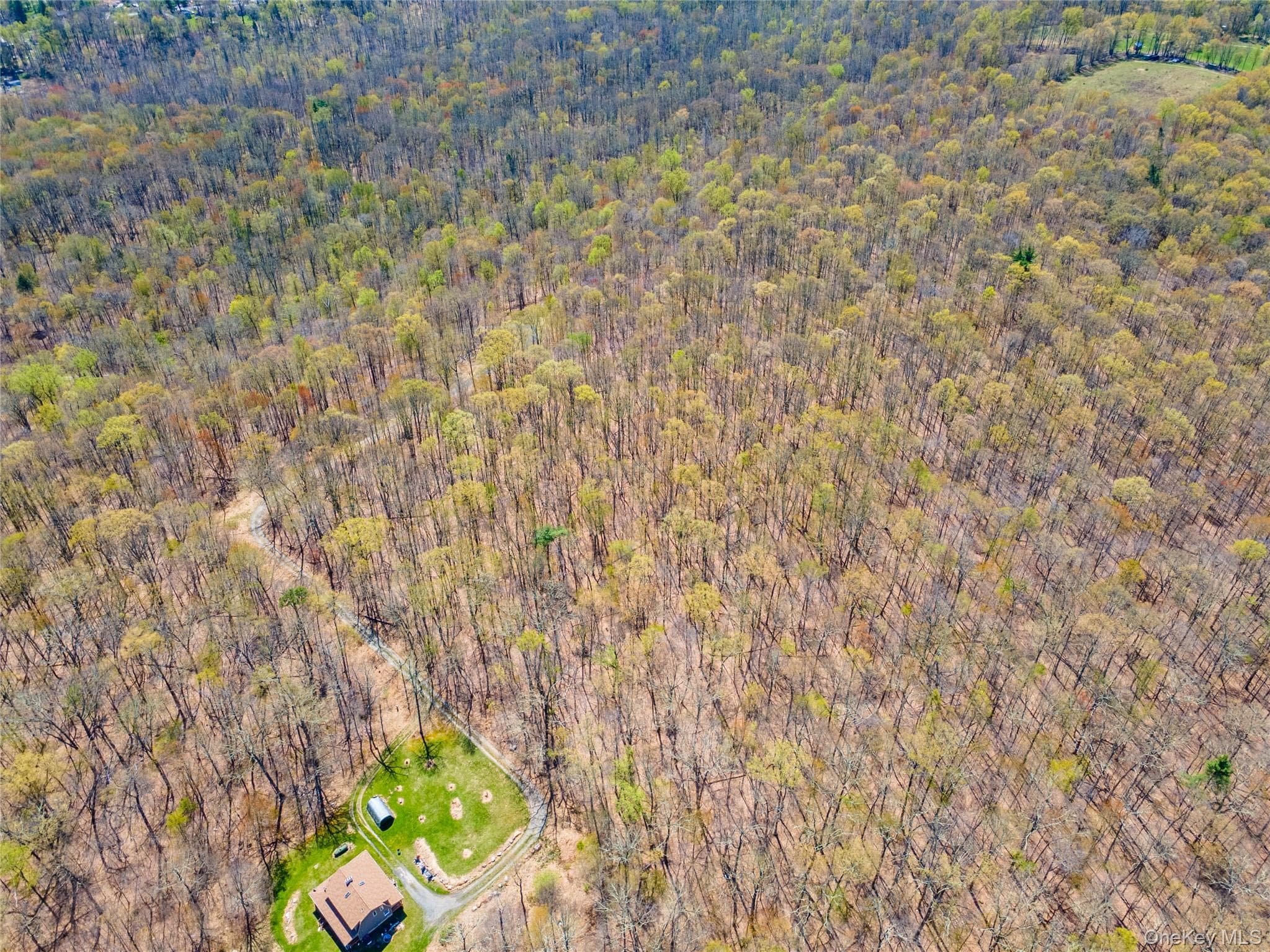TBD Forest Glen Road thumbnail 6
