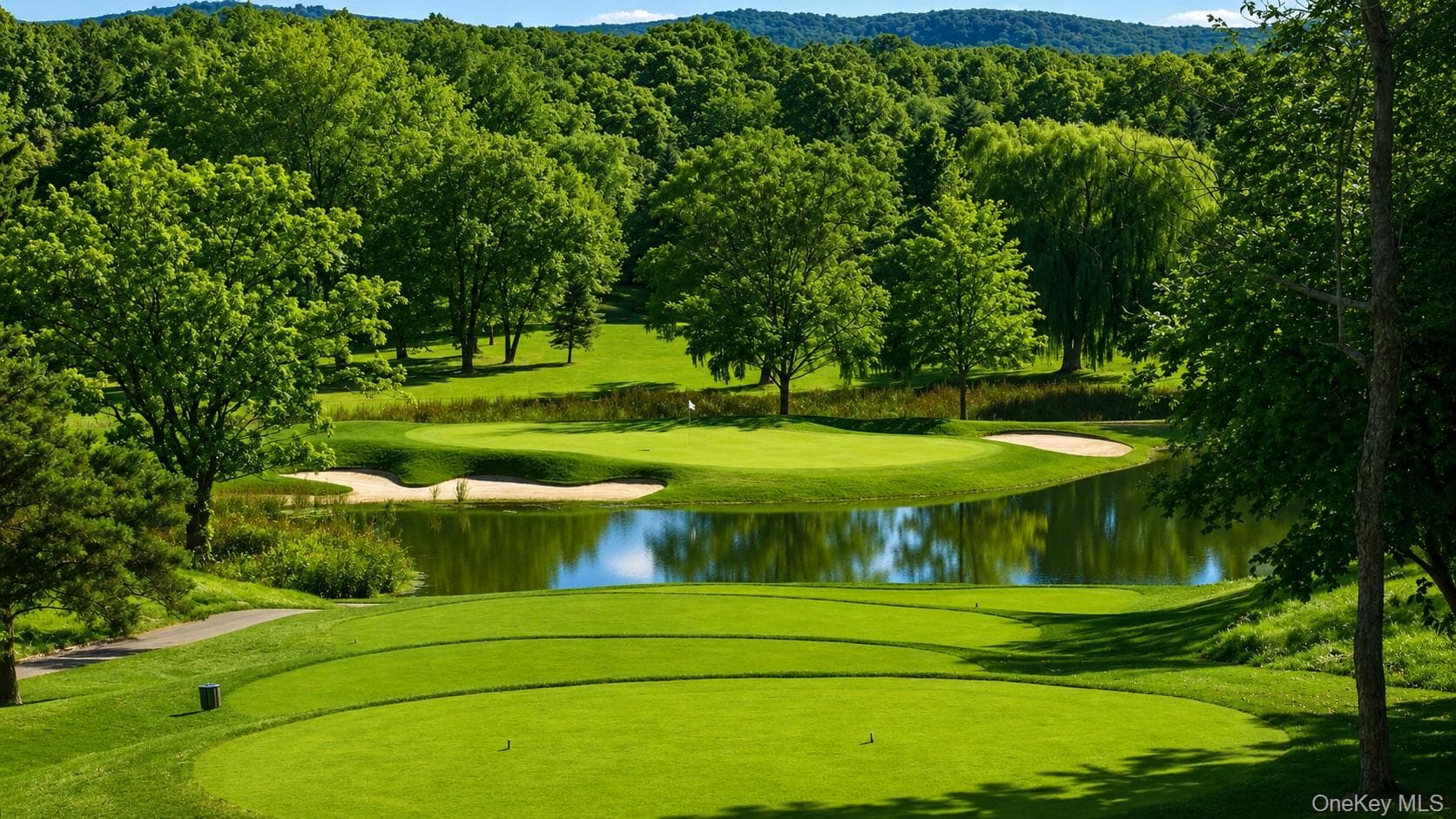 4 Augusta Court thumbnail 45