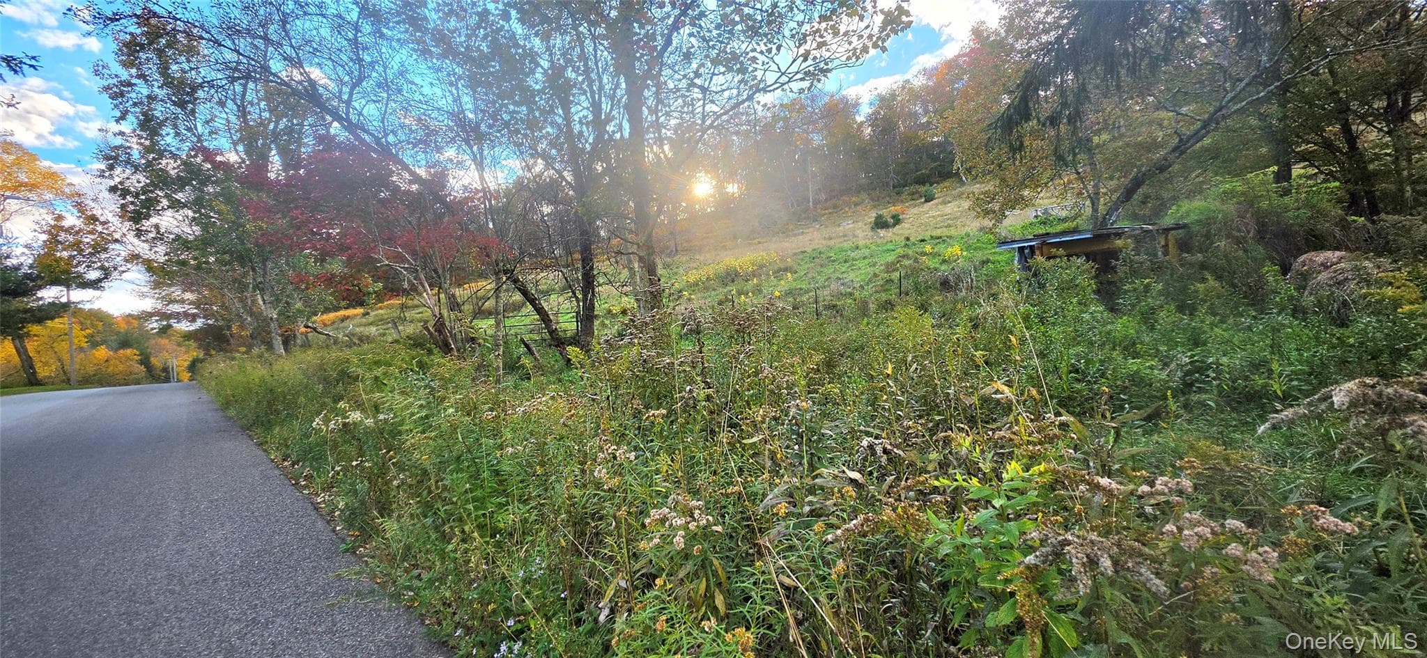 55 Lily Pond Road thumbnail 11