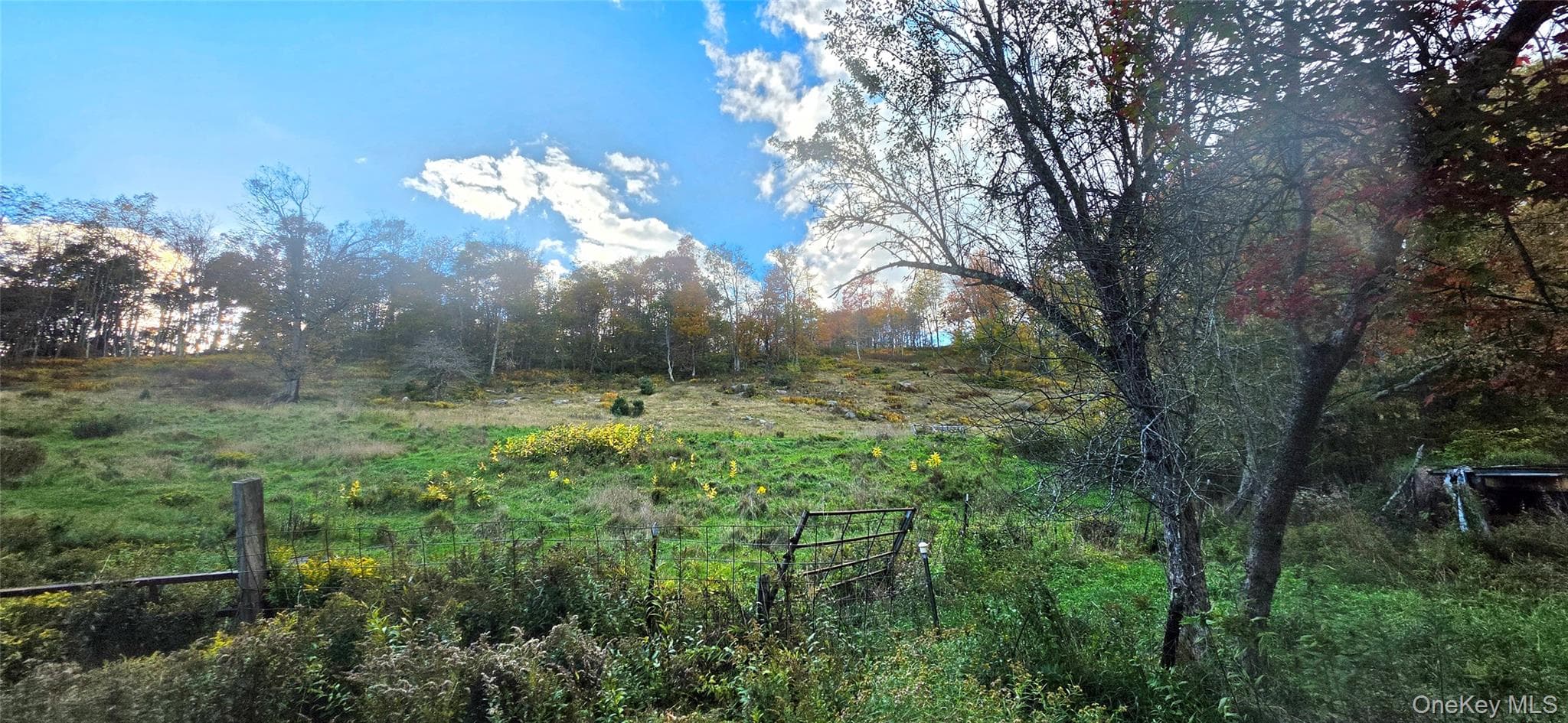 55 Lily Pond Road thumbnail 14