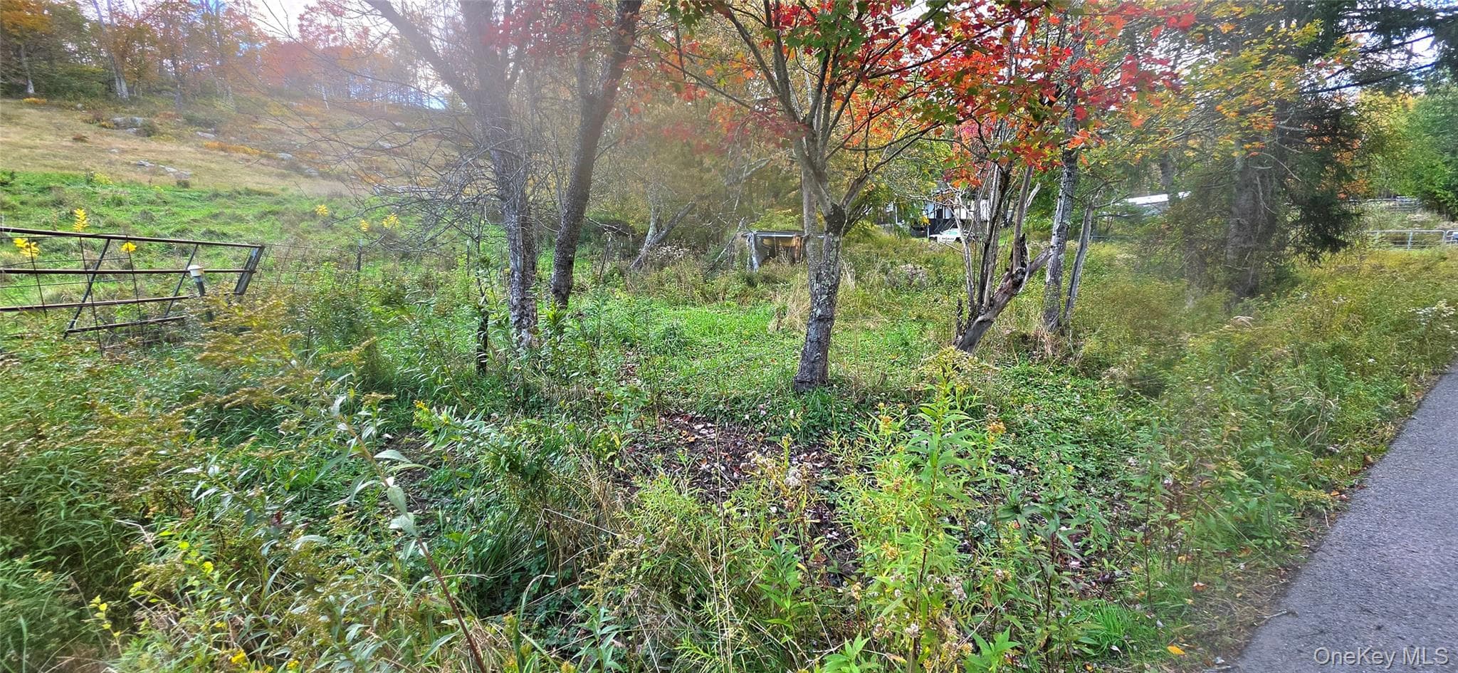 55 Lily Pond Road thumbnail 13