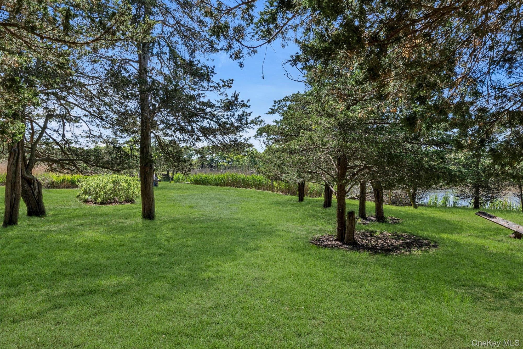 37 Corwell Avenue thumbnail 9