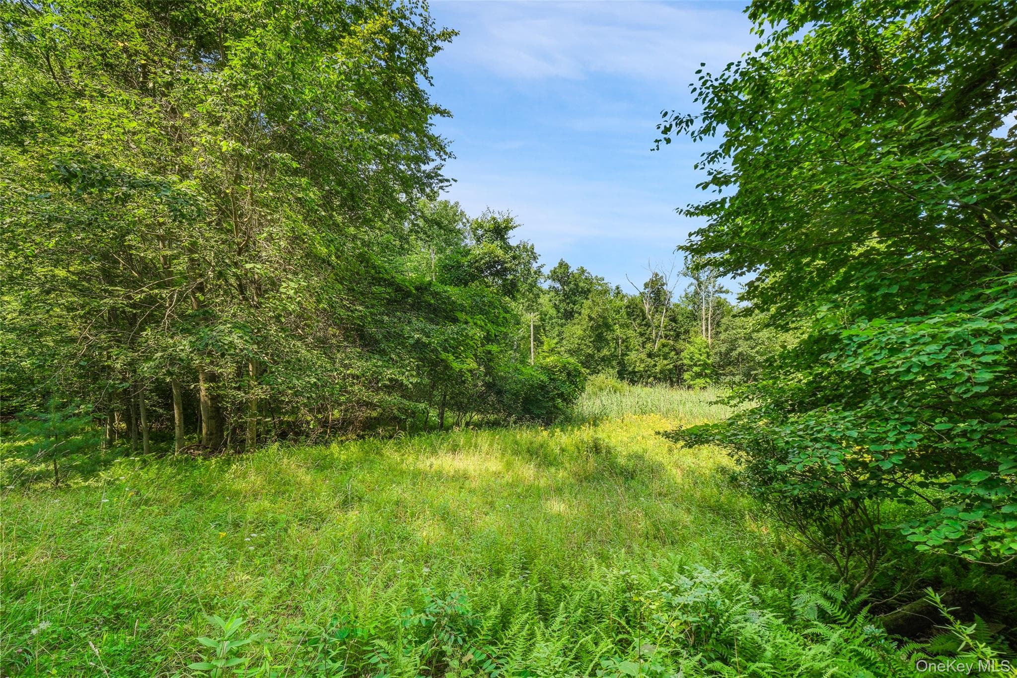 Oak Ridge Road thumbnail 15